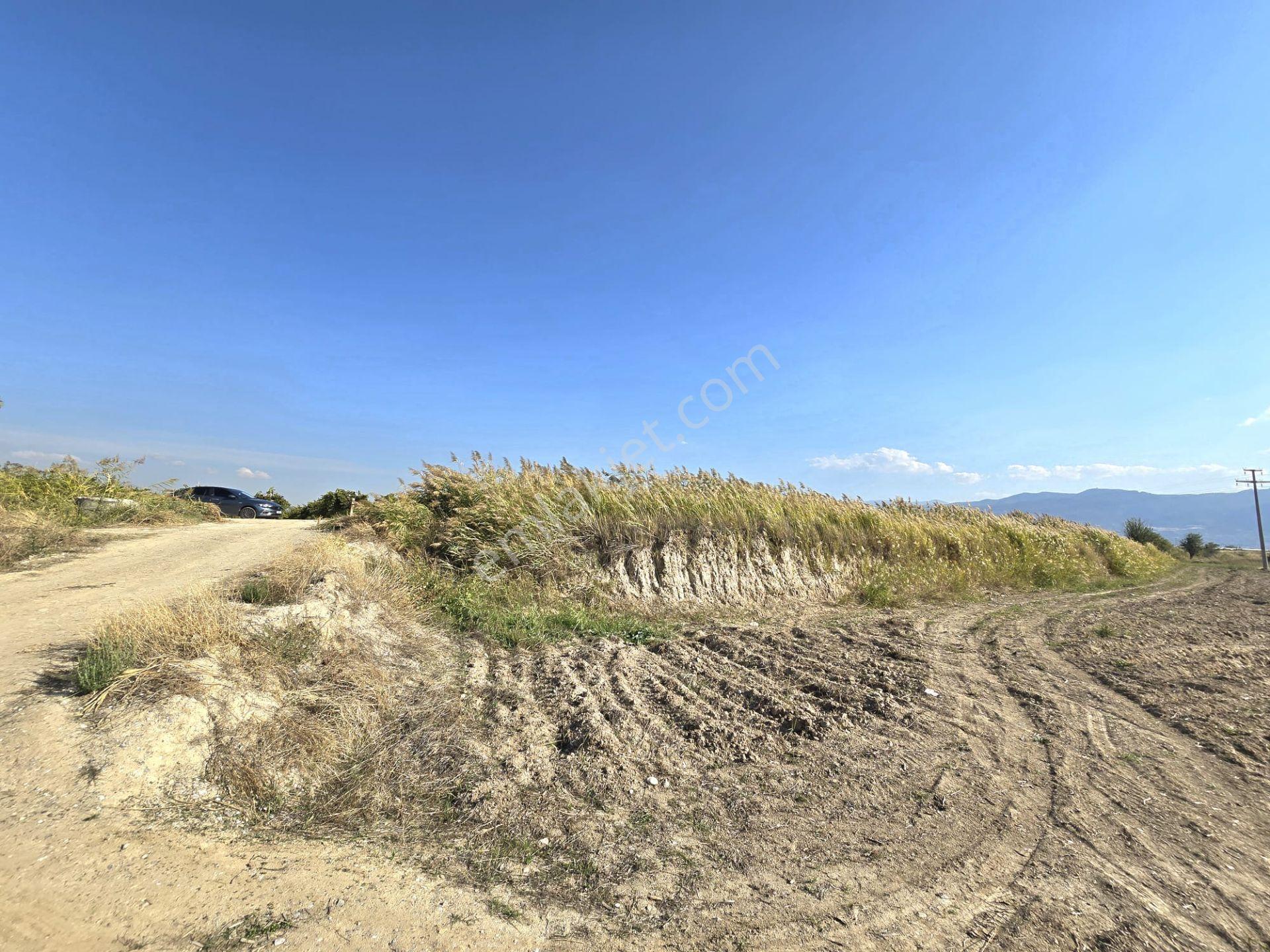 Yol, Su Ve Elektrik Var, Kaklık Mağarası Yakını 11.538 M² Tarla - Görsel 12