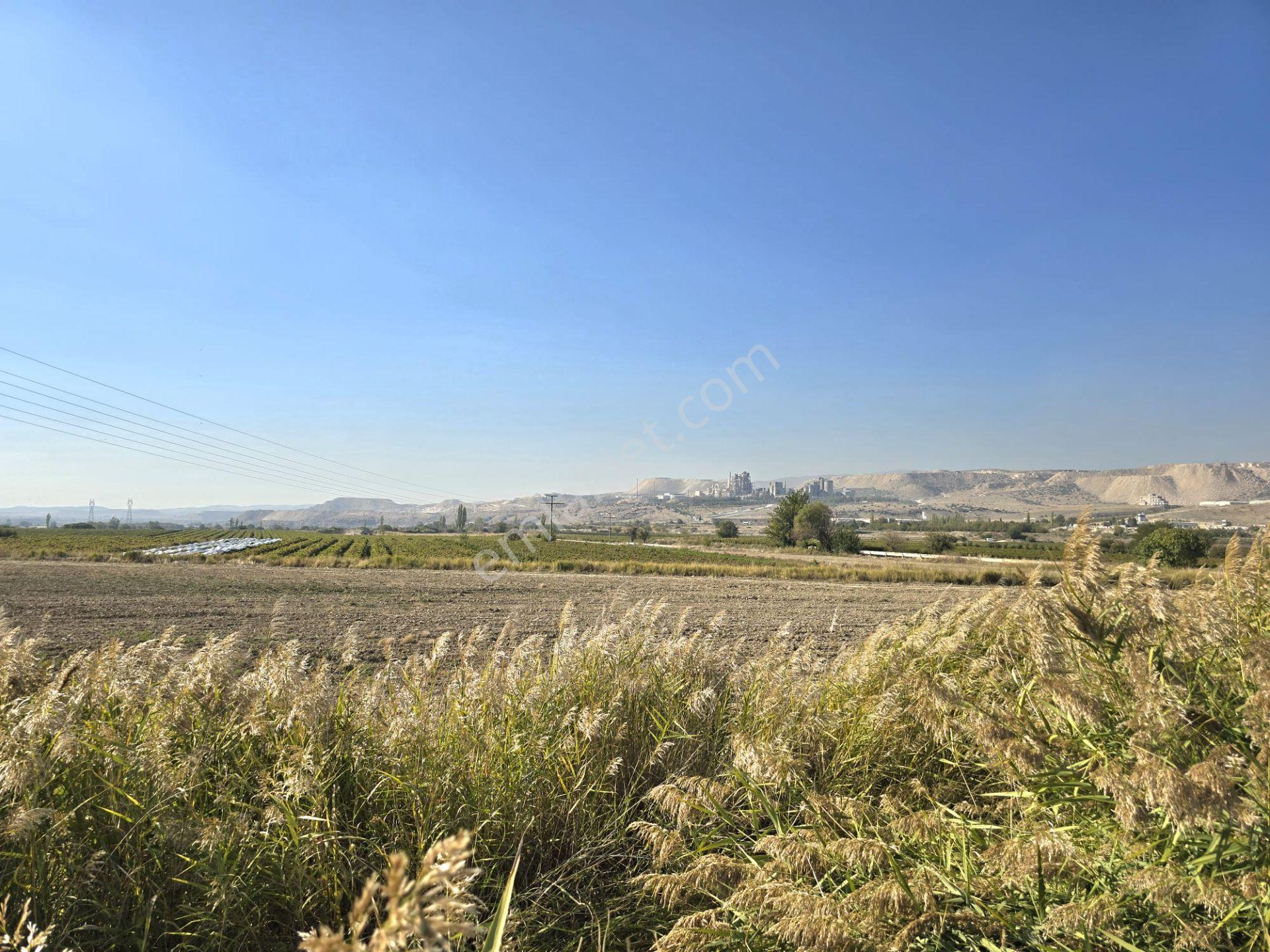 Yol, Su Ve Elektrik Var, Kaklık Mağarası Yakını 11.538 M² Tarla - Görsel 2