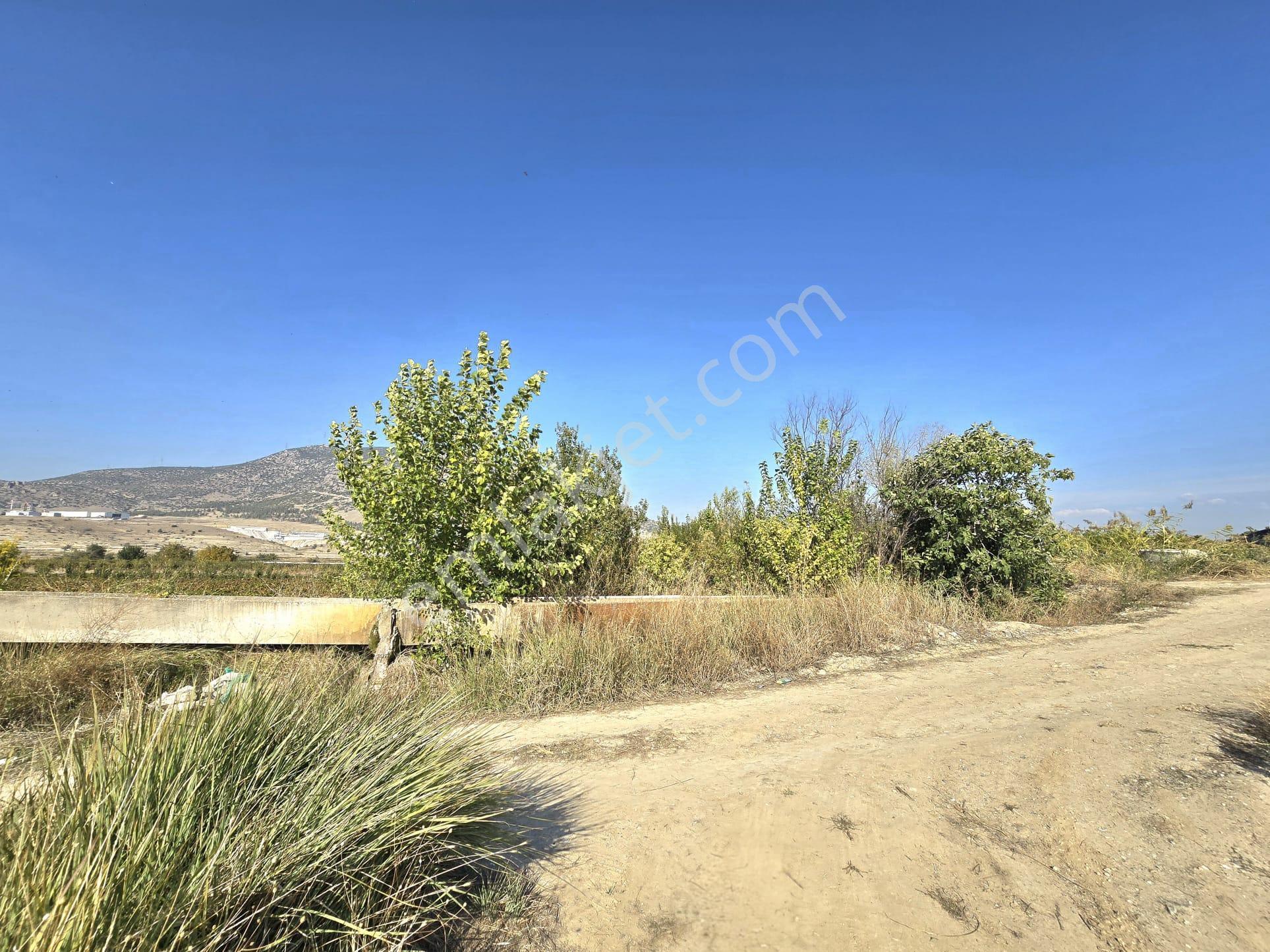 Yol, Su Ve Elektrik Var, Kaklık Mağarası Yakını 11.538 M² Tarla - Görsel 10