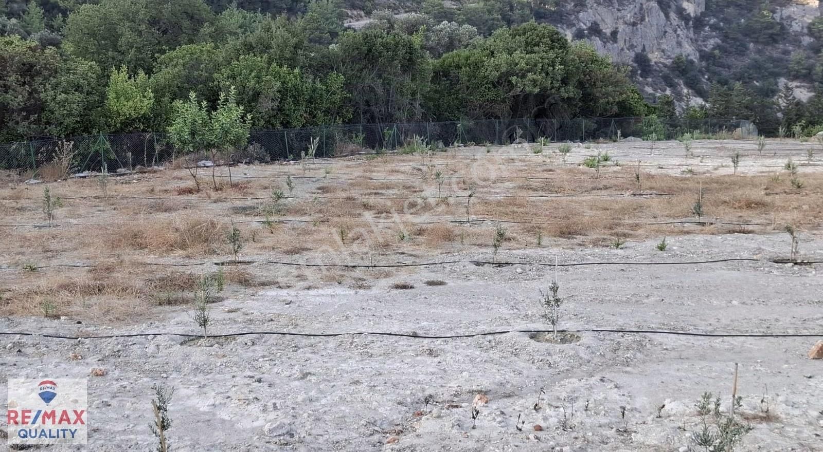 Kumluca Yeşilköyde 12.000 M² Prefabrikli, Elektrikli Ve Sondaj - Görsel 2