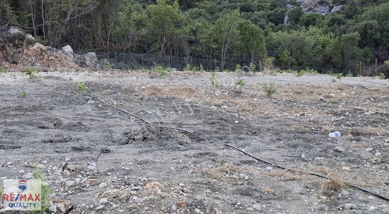 Kumluca Yeşilköyde 12.000 M² Prefabrikli, Elektrikli Ve Sondaj - Görsel 4