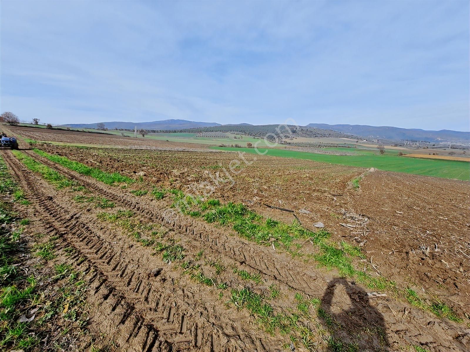 Yenişehir Kavaklı Kadastro Yoluna Cephe Sulama Tesisatlı Tarla - Görsel 11