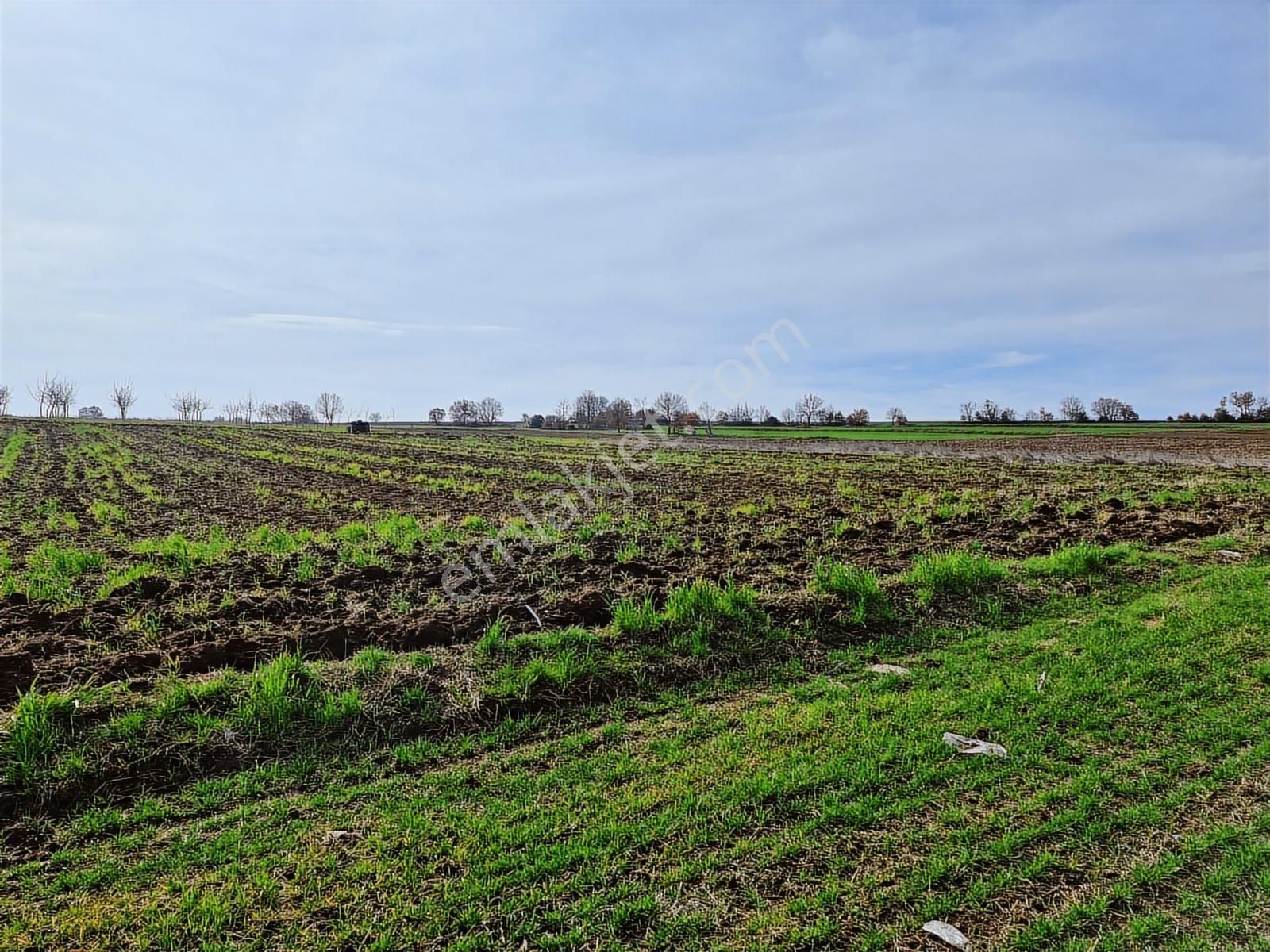 Yenişehir Kavaklı Kadastro Yoluna Cephe Sulama Tesisatlı Tarla - Görsel 17