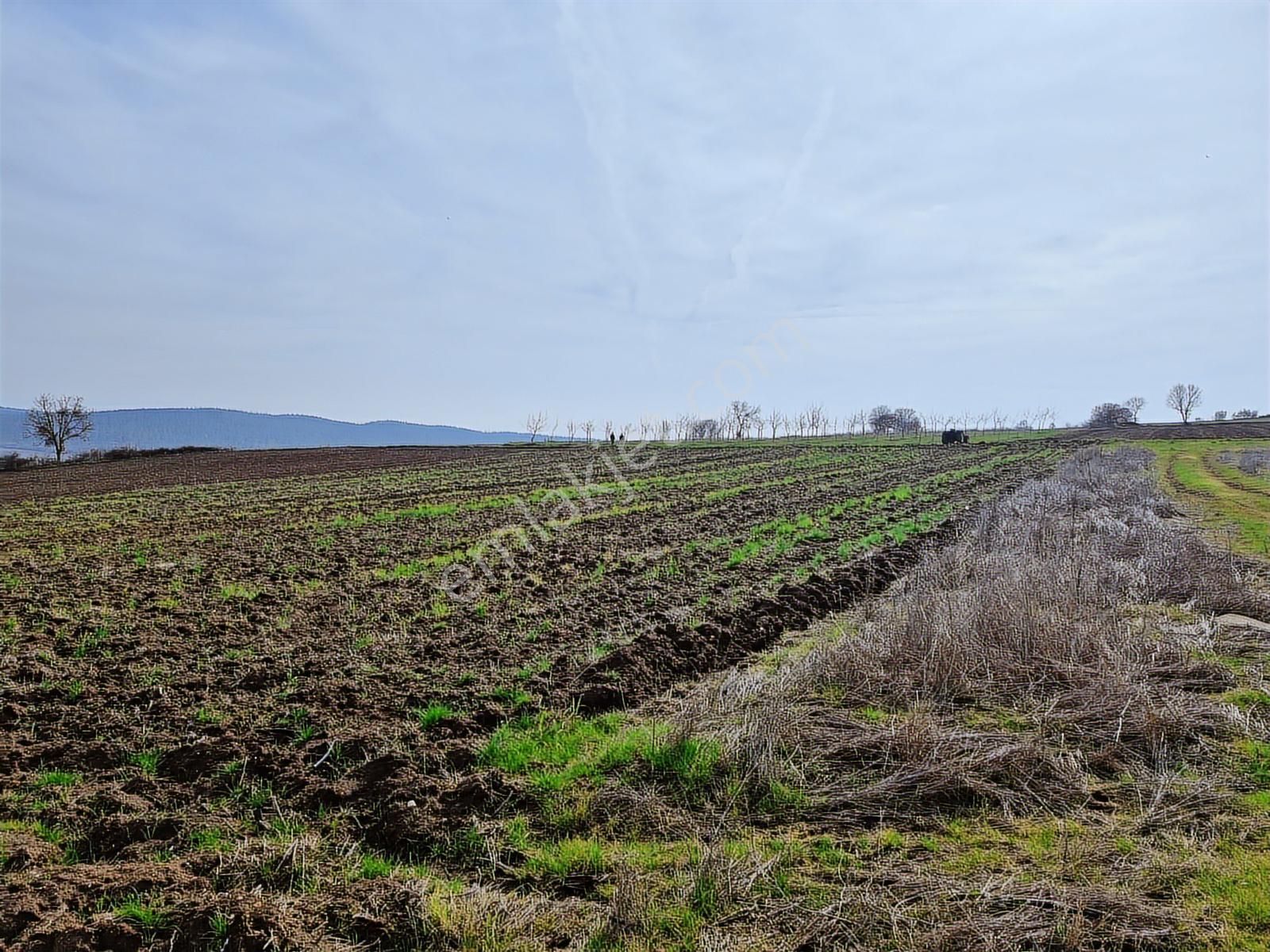 Yenişehir Kavaklı Kadastro Yoluna Cephe Sulama Tesisatlı Tarla - Görsel 19