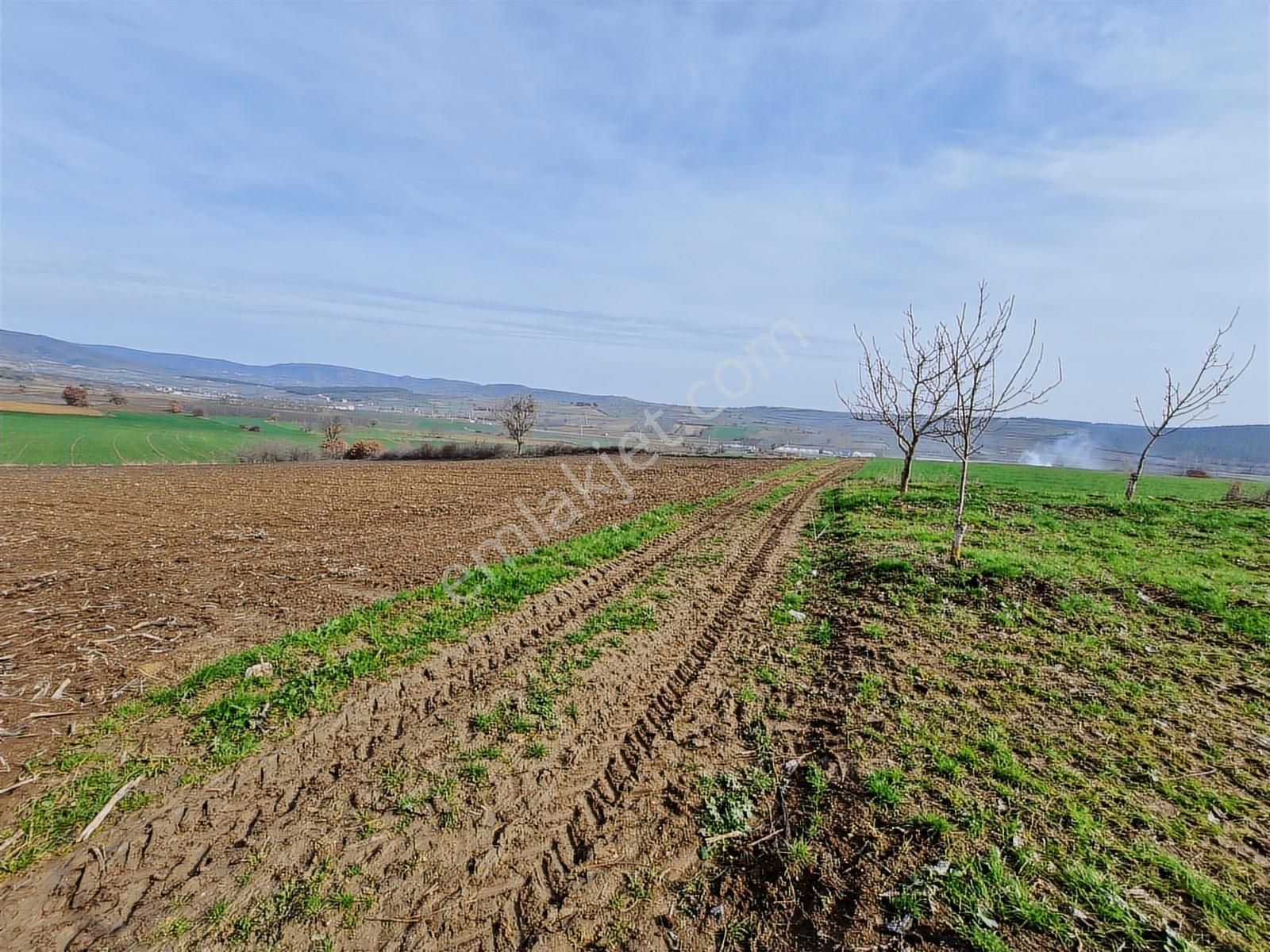 Yenişehir Kavaklı Kadastro Yoluna Cephe Sulama Tesisatlı Tarla - Görsel 25
