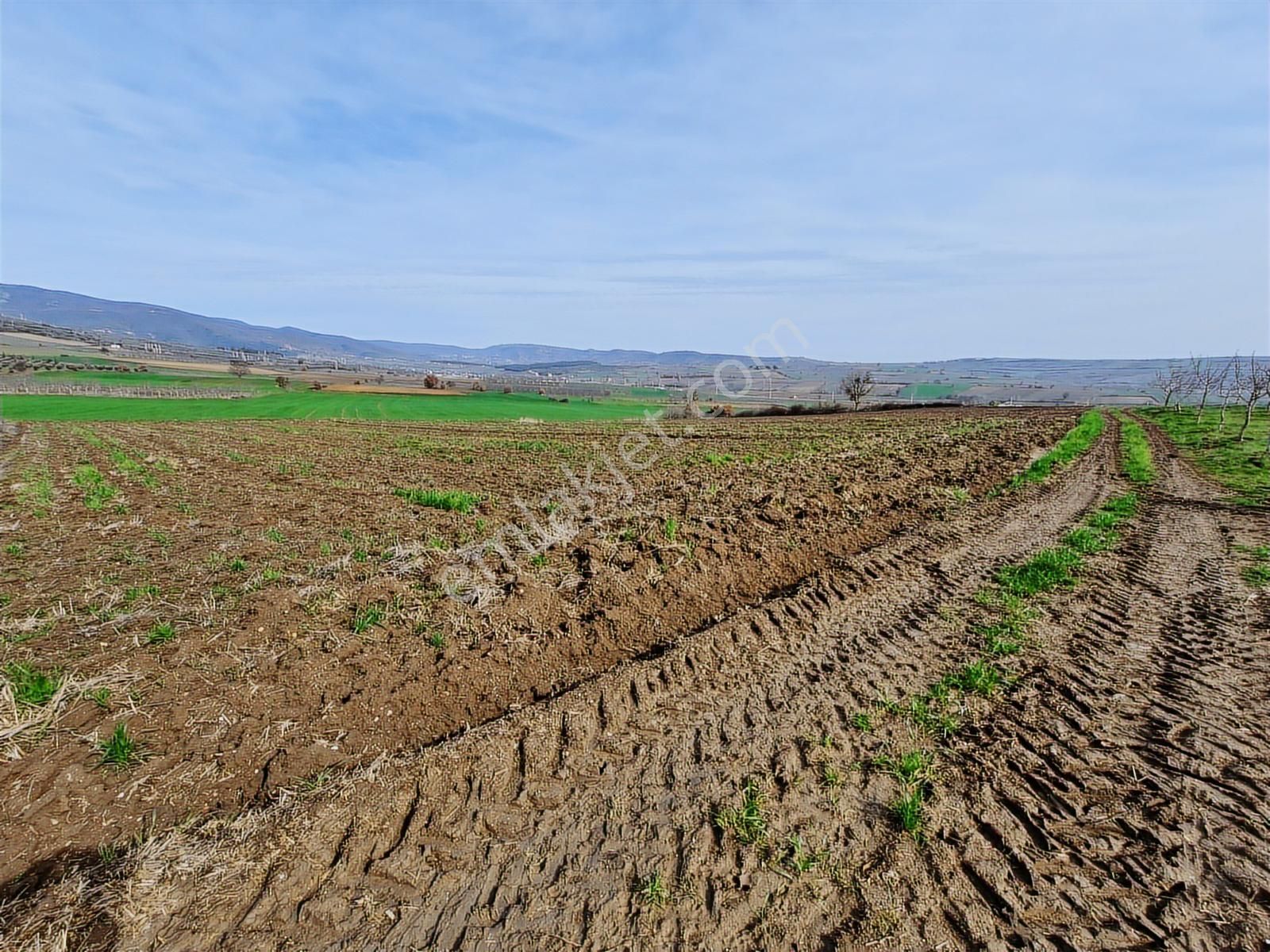 Yenişehir Kavaklı Kadastro Yoluna Cephe Sulama Tesisatlı Tarla - Görsel 22