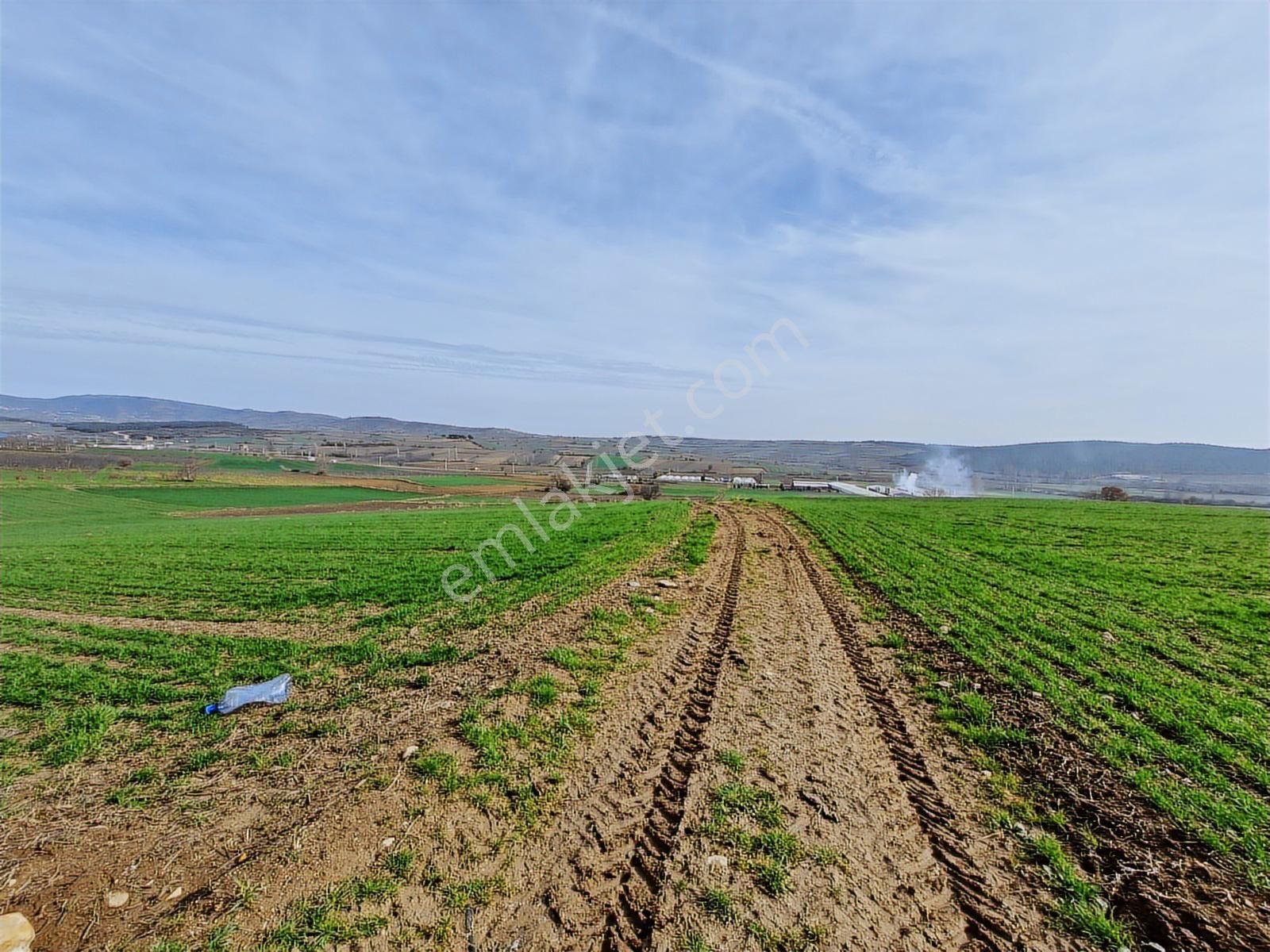 Yenişehir Kavaklı Kadastro Yoluna Cephe Sulama Tesisatlı Tarla - Görsel 7