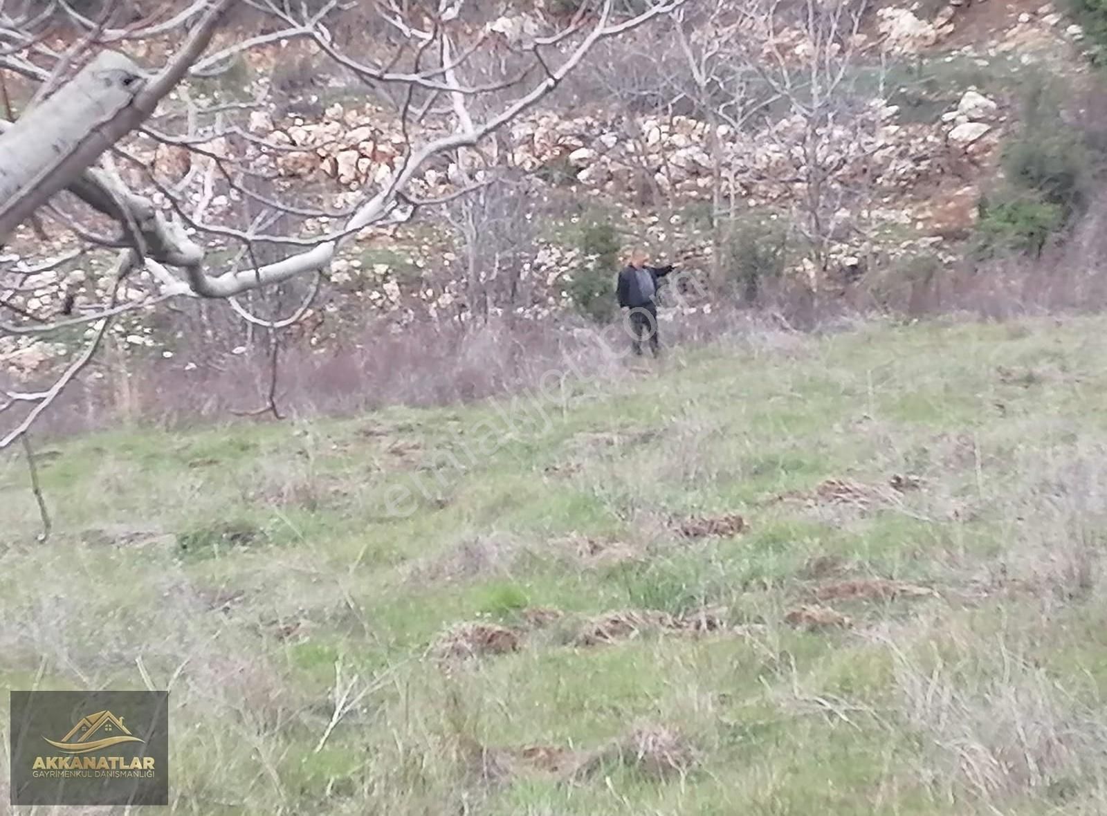 Fethiye Nif Mahallesinde Satılık 747 M2 Köy İçi İmarli Arsa - Görsel 4