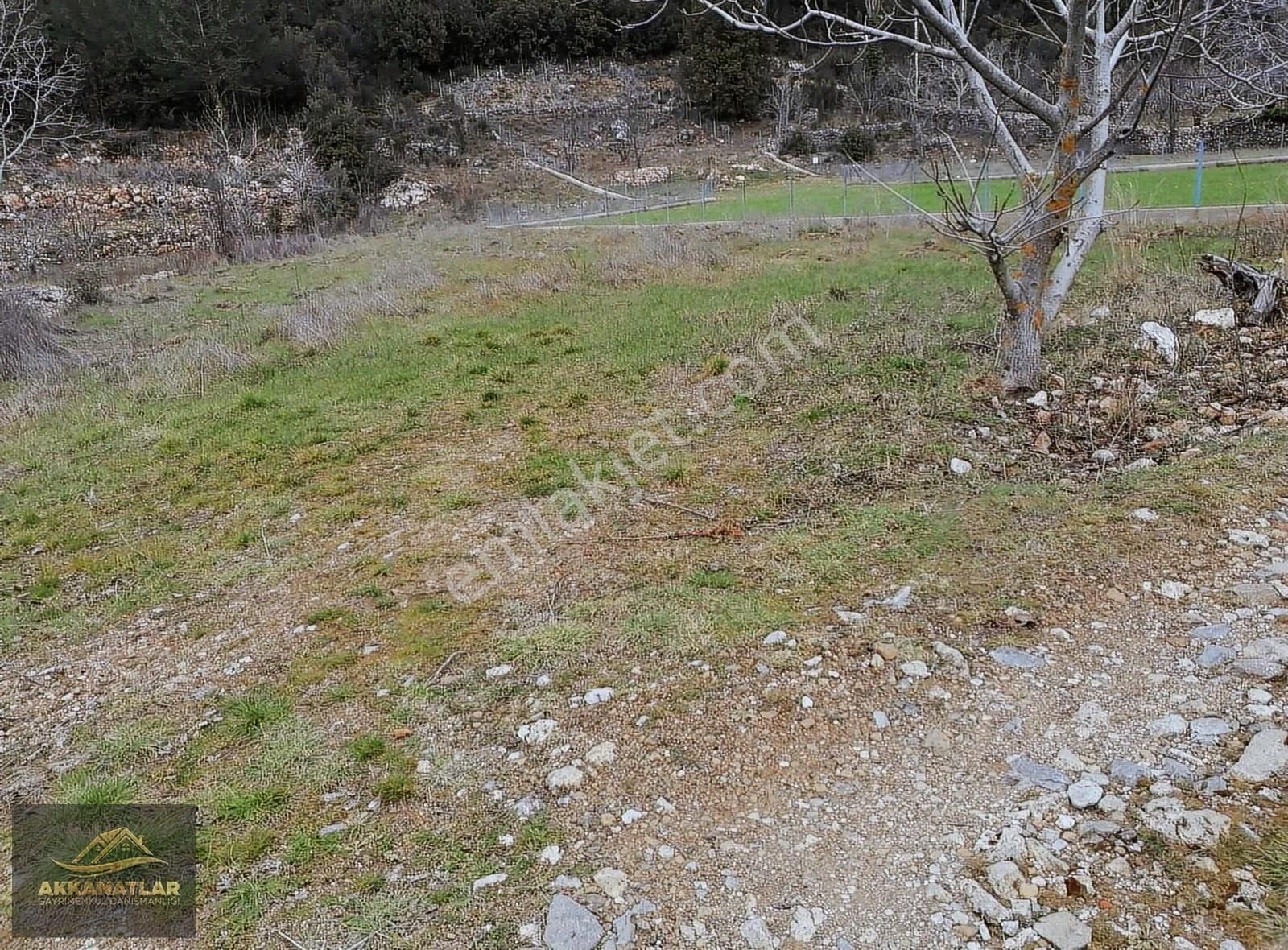 Fethiye Nif Mahallesinde Satılık 747 M2 Köy İçi İmarli Arsa