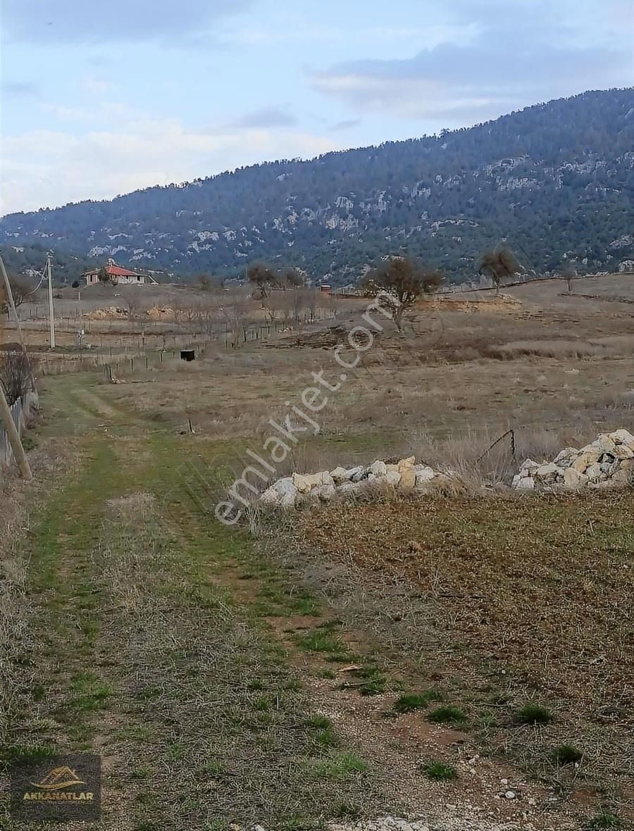 Muğla Seydikemer Yayla Ceylan(köykent) Satılık Tarla - Görsel 4