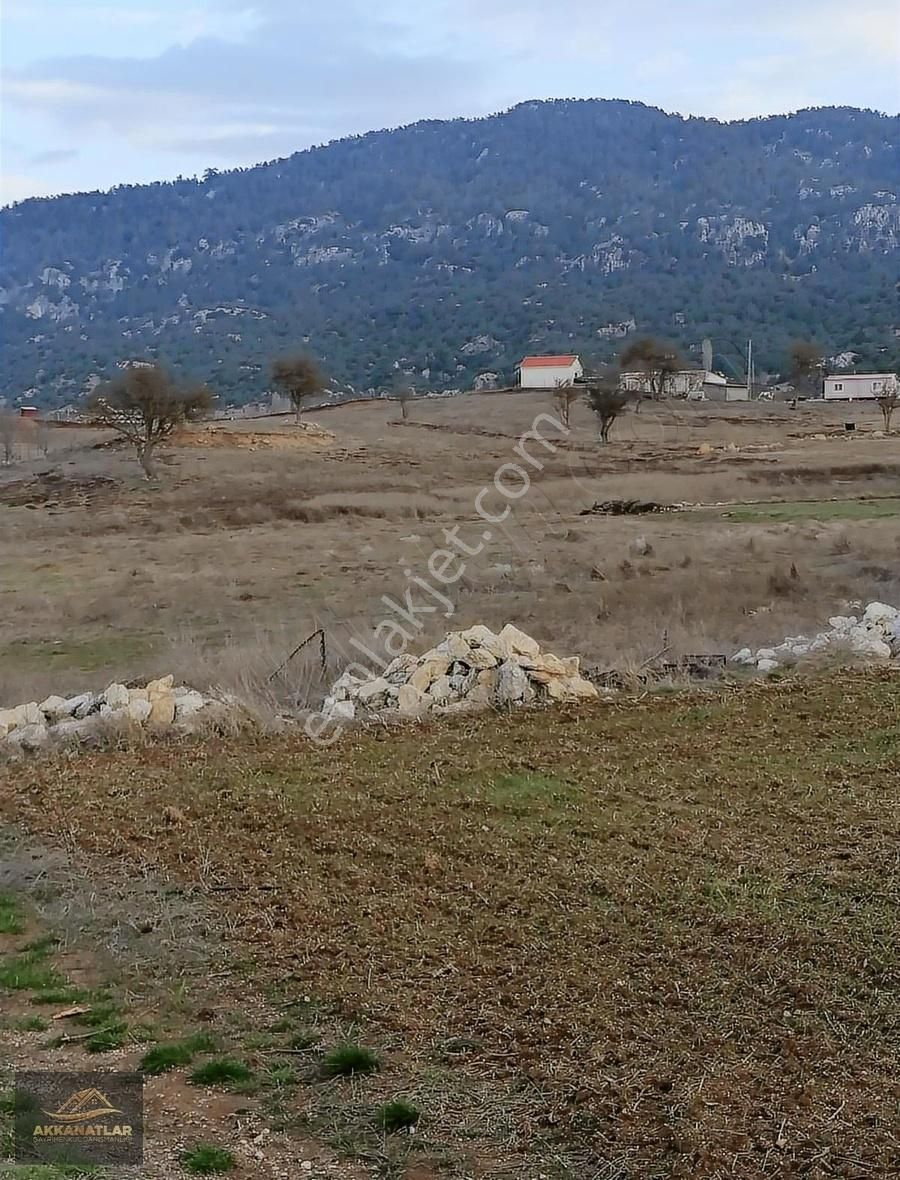 Muğla Seydikemer Yayla Ceylan(köykent) Satılık Tarla - Görsel 6