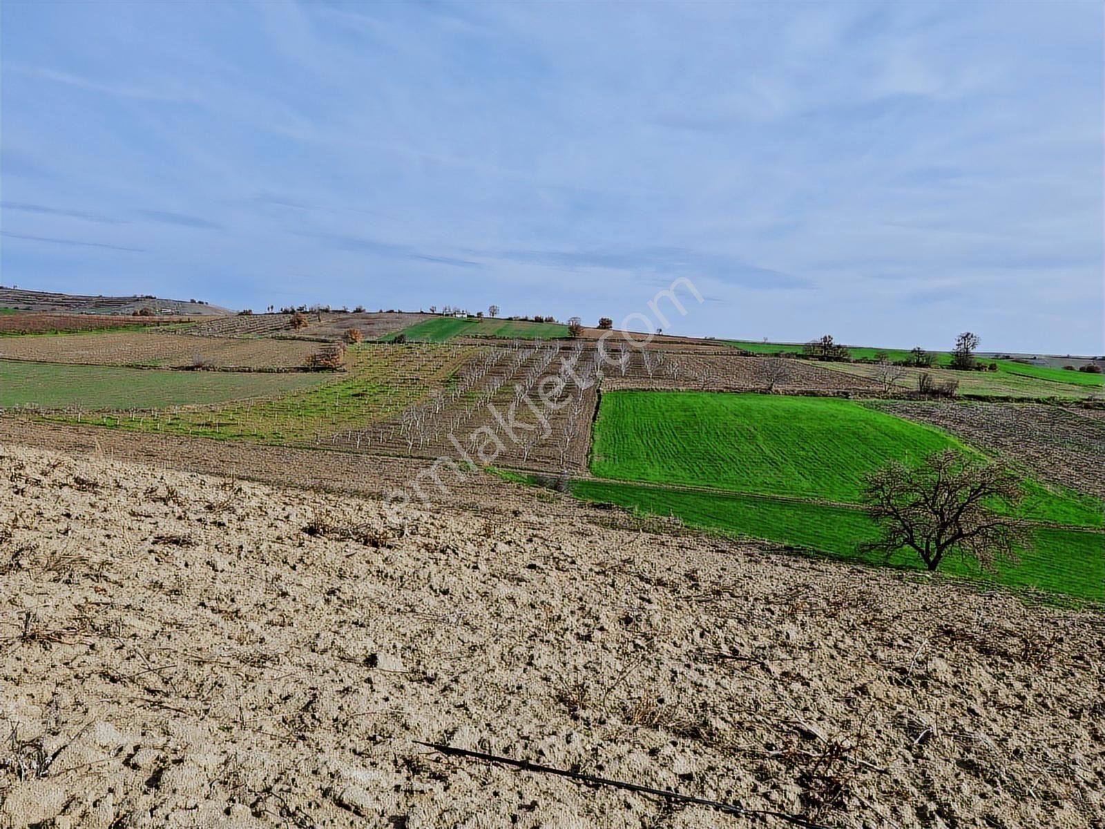 Yenişehir Kavaklı Kadastro Yoluna Cephe Sulama Tesisatlı Satılık - Görsel 29