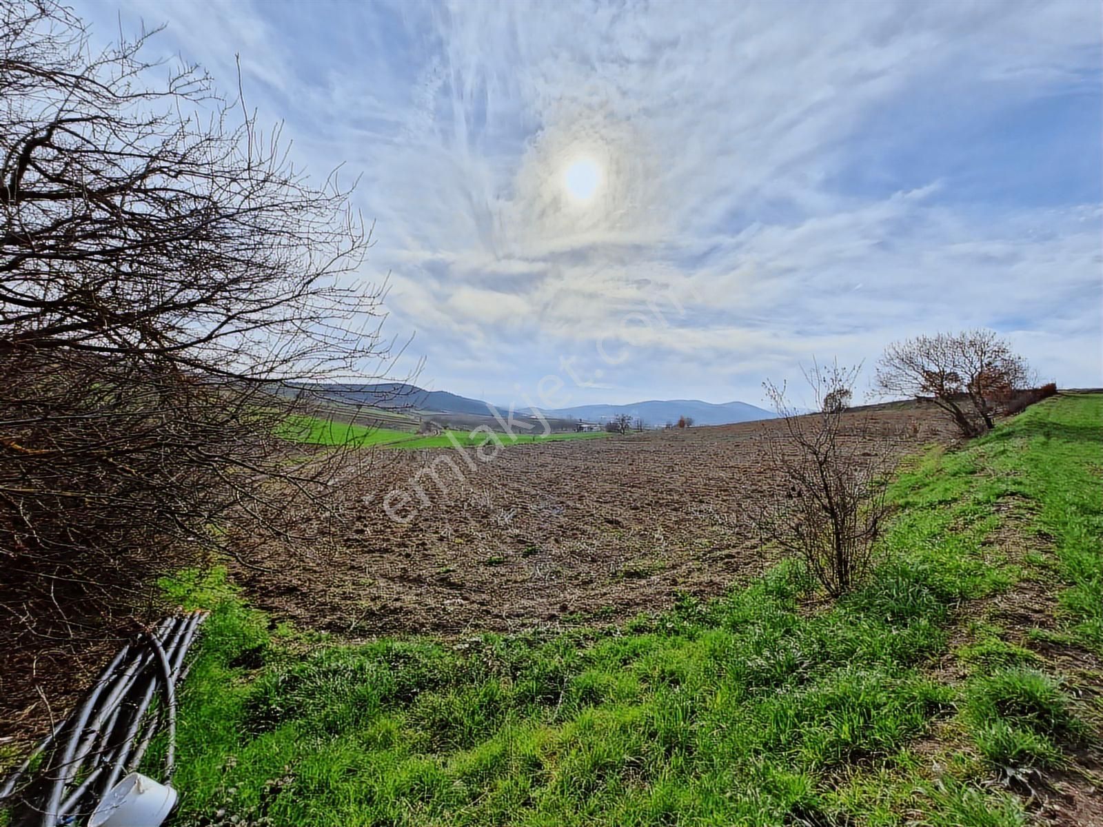 Yenişehir Kavaklı Kadastro Yoluna Cephe Sulama Tesisatlı Satılık - Görsel 7