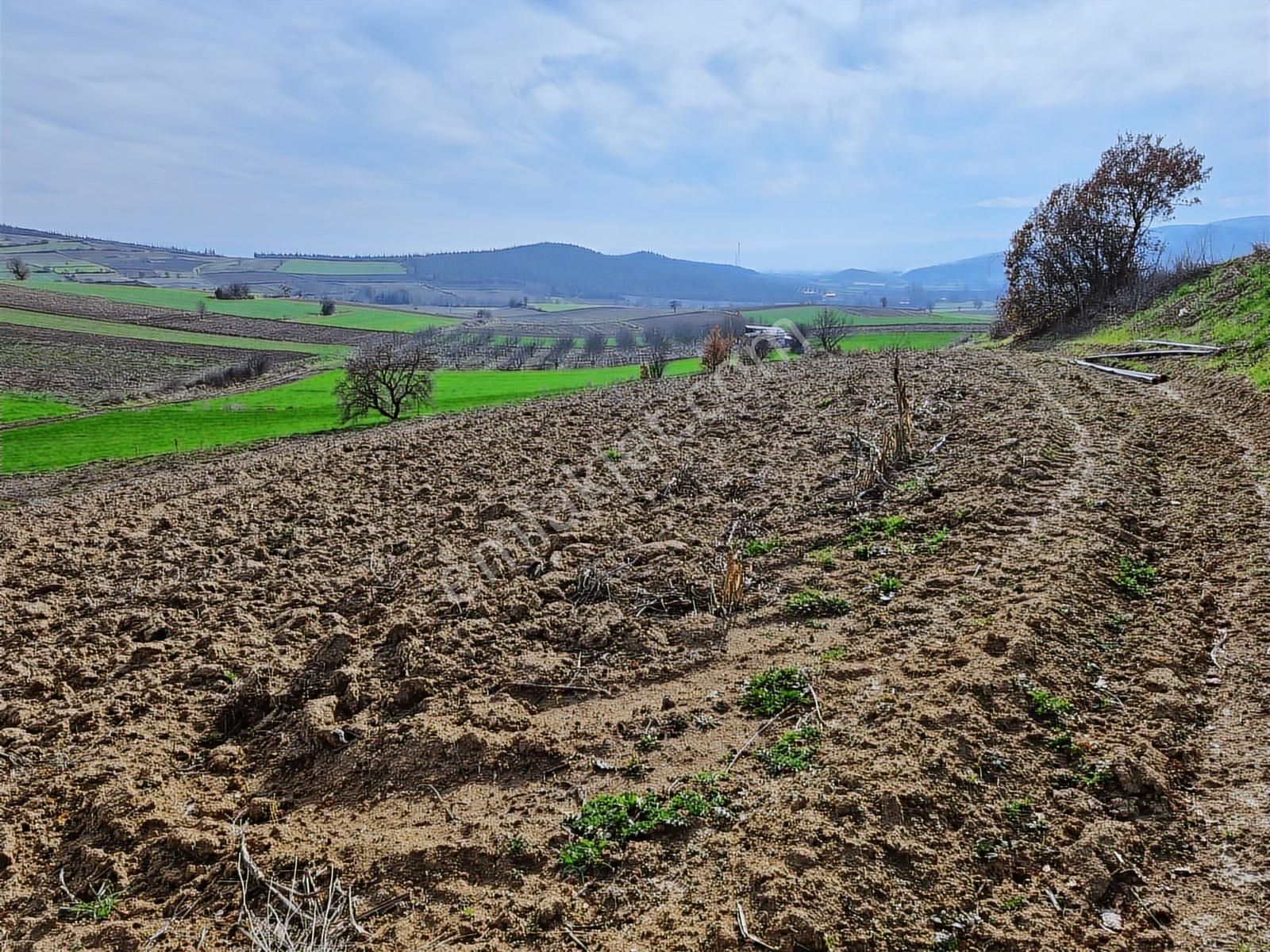 Yenişehir Kavaklı Kadastro Yoluna Cephe Sulama Tesisatlı Satılık - Görsel 17