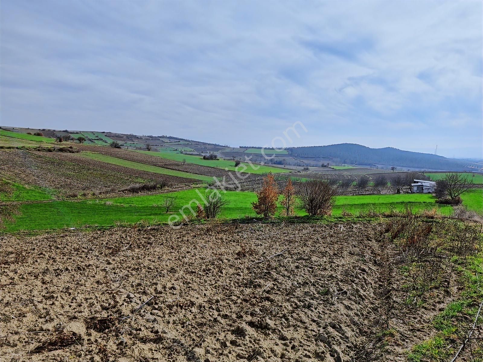 Yenişehir Kavaklı Kadastro Yoluna Cephe Sulama Tesisatlı Satılık - Görsel 12