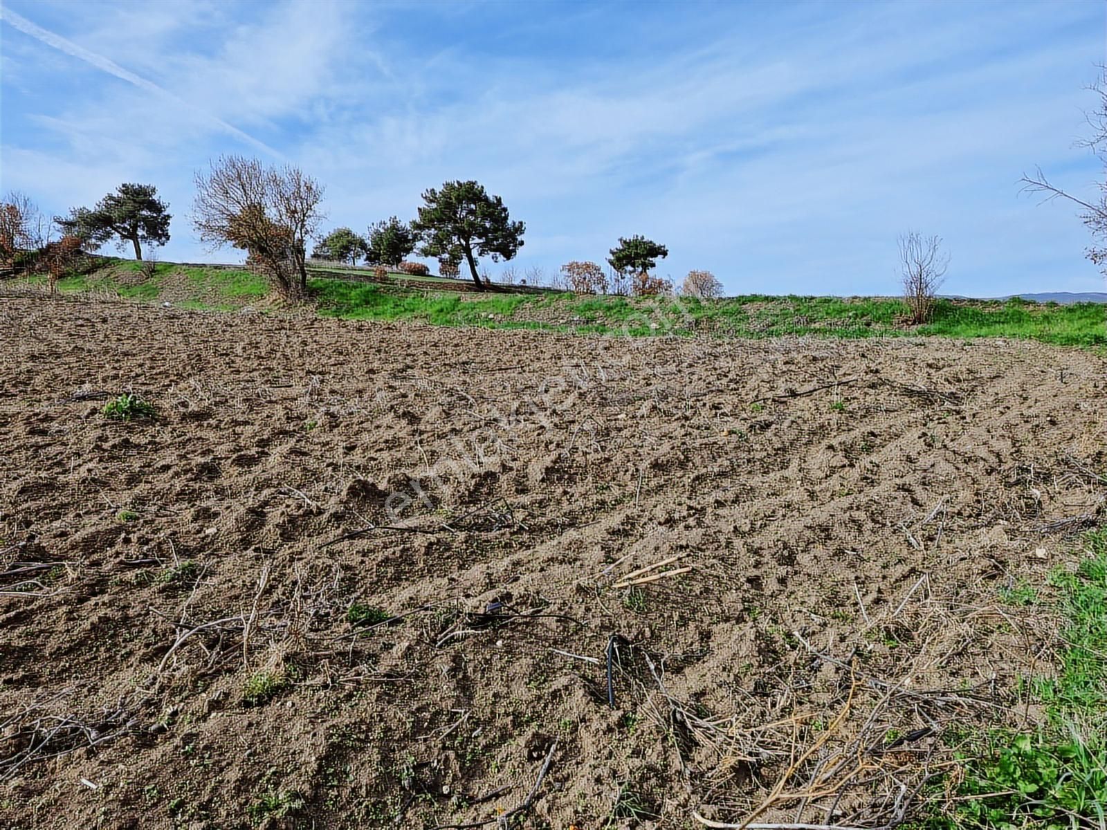 Yenişehir Kavaklı Kadastro Yoluna Cephe Sulama Tesisatlı Satılık - Görsel 3