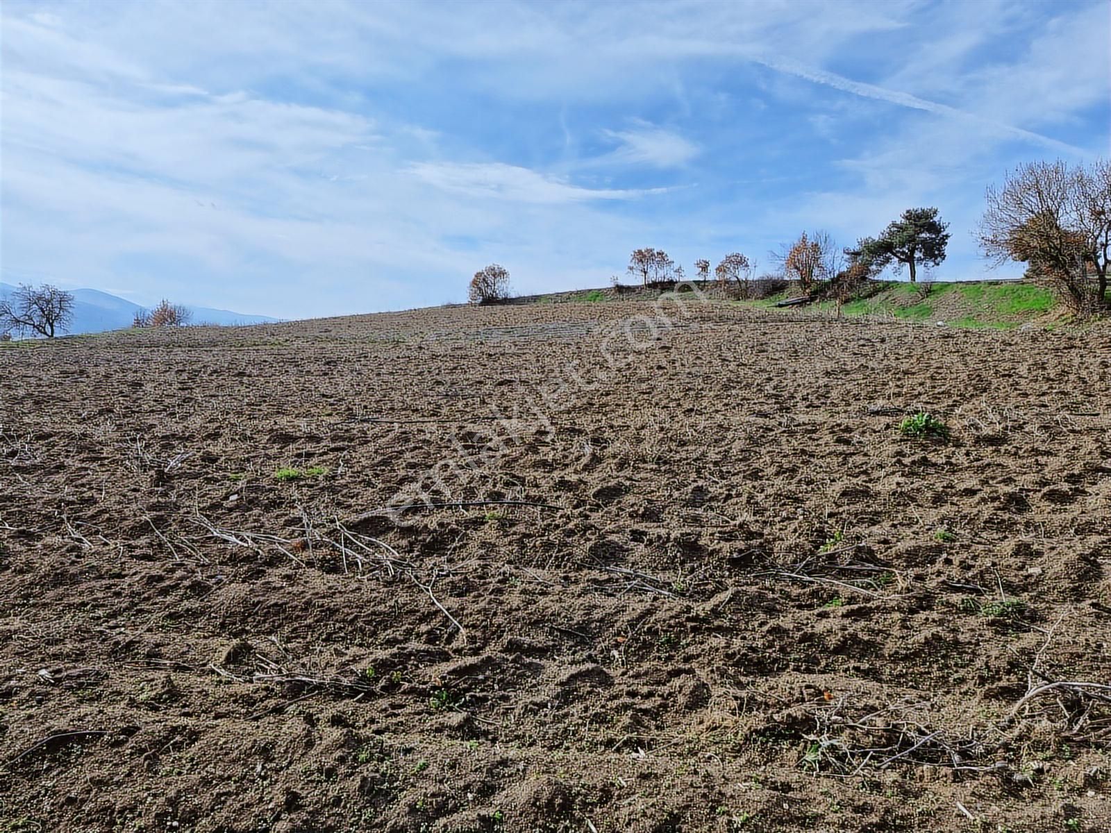 Yenişehir Kavaklı Kadastro Yoluna Cephe Sulama Tesisatlı Satılık