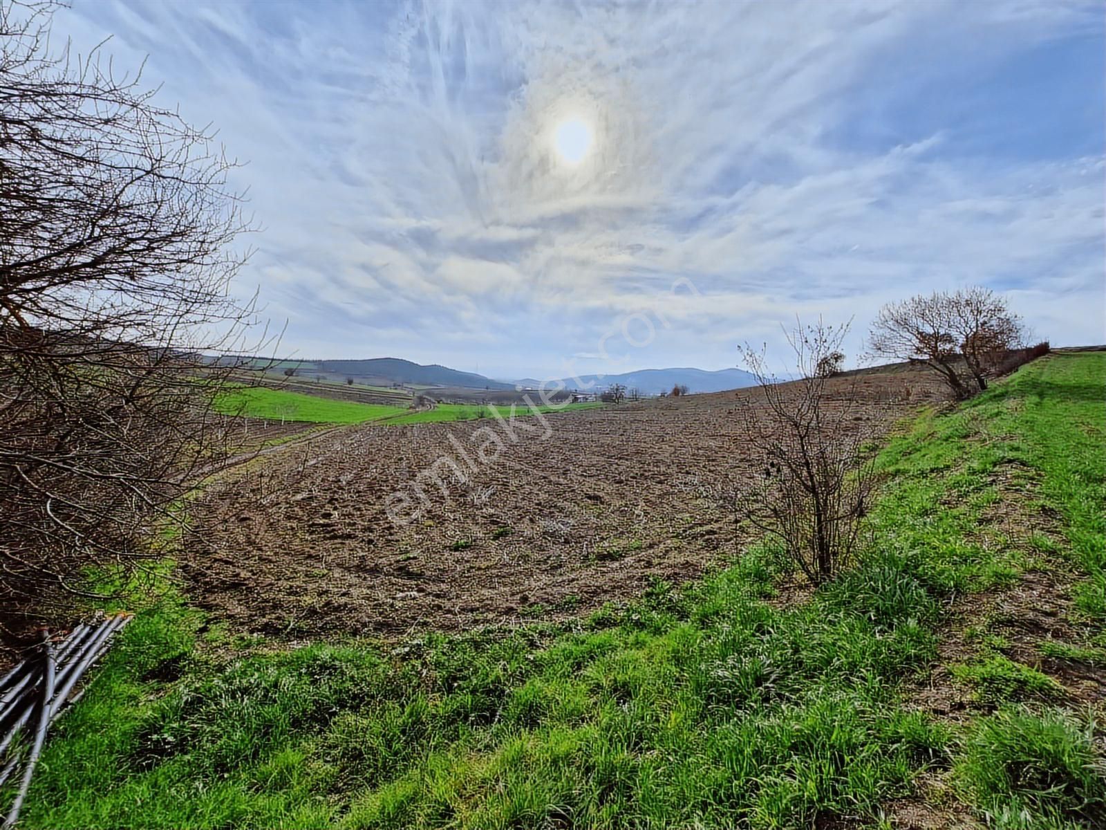 Yenişehir Kavaklı Kadastro Yoluna Cephe Sulama Tesisatlı Satılık - Görsel 13