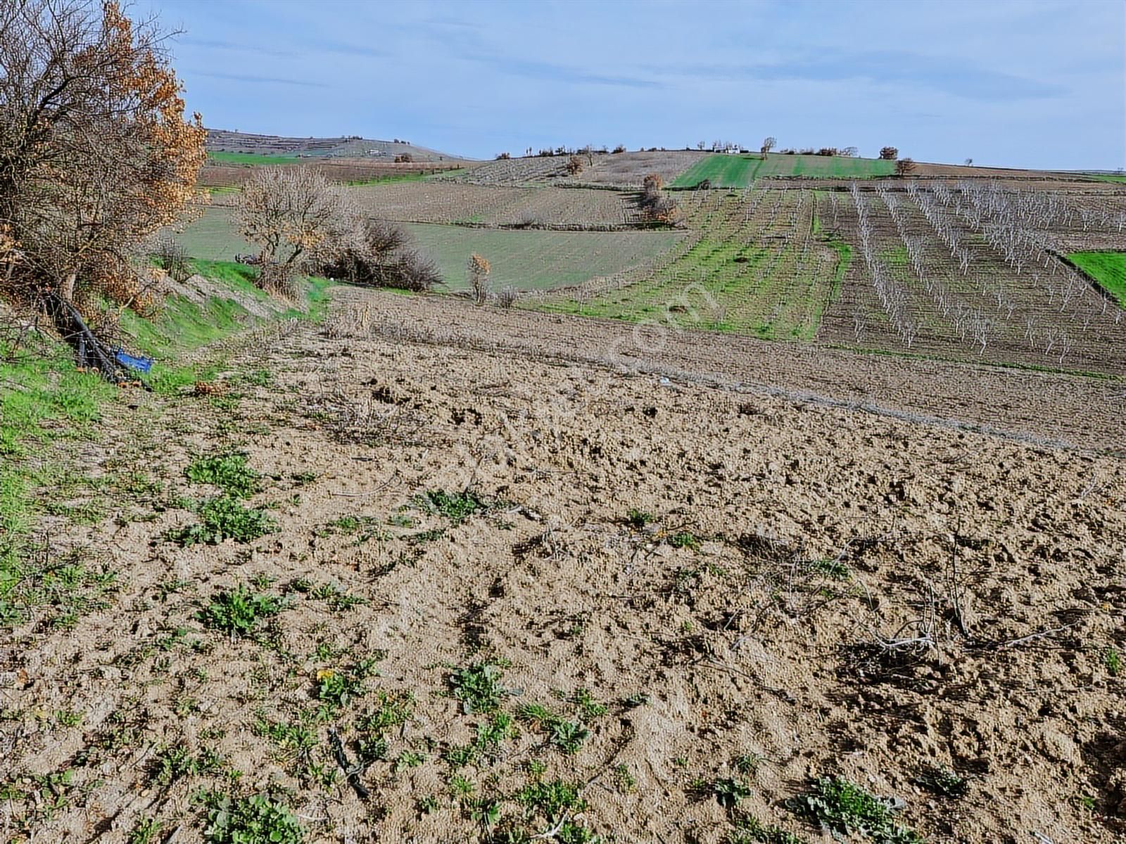 Yenişehir Kavaklı Kadastro Yoluna Cephe Sulama Tesisatlı Satılık - Görsel 16