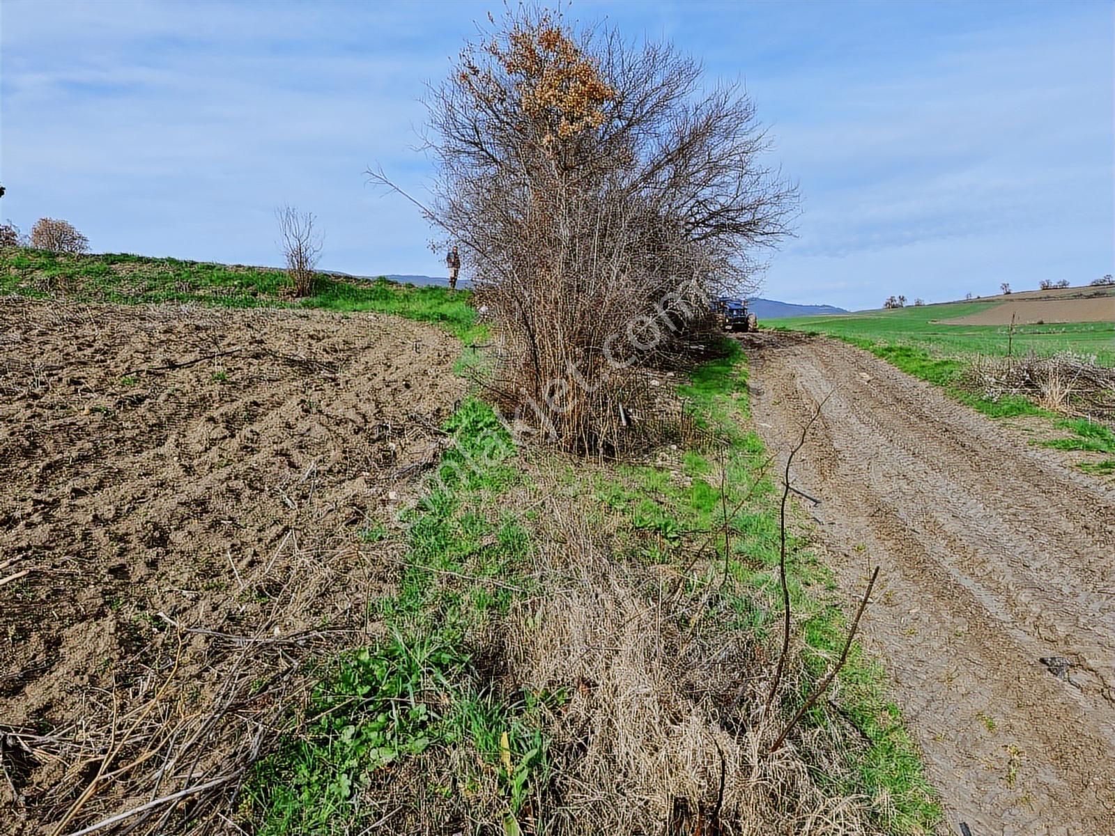 Yenişehir Kavaklı Kadastro Yoluna Cephe Sulama Tesisatlı Satılık - Görsel 25
