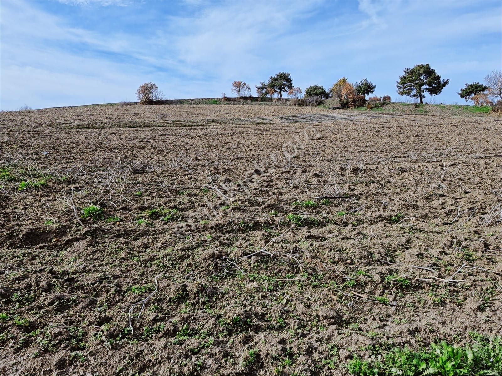 Yenişehir Kavaklı Kadastro Yoluna Cephe Sulama Tesisatlı Satılık - Görsel 8