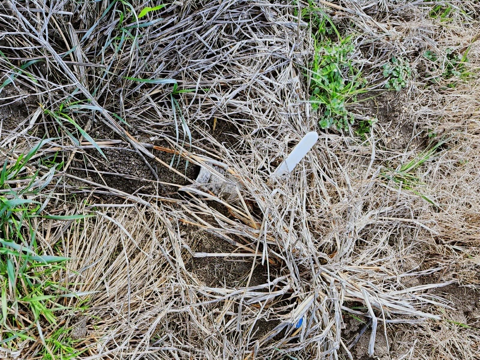 Yenişehir Kavaklı Kadastro Yoluna Cephe Sulama Tesisatlı Satılık - Görsel 9