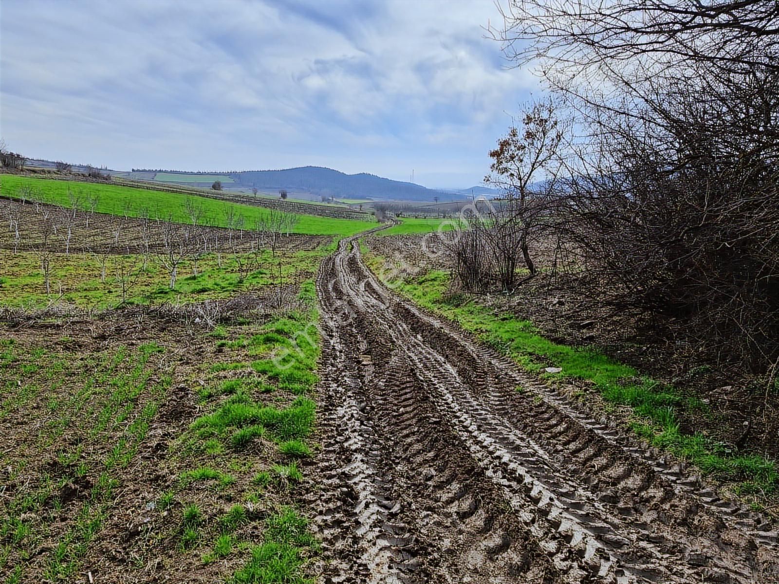 Yenişehir Kavaklı Kadastro Yoluna Cephe Sulama Tesisatlı Satılık - Görsel 34