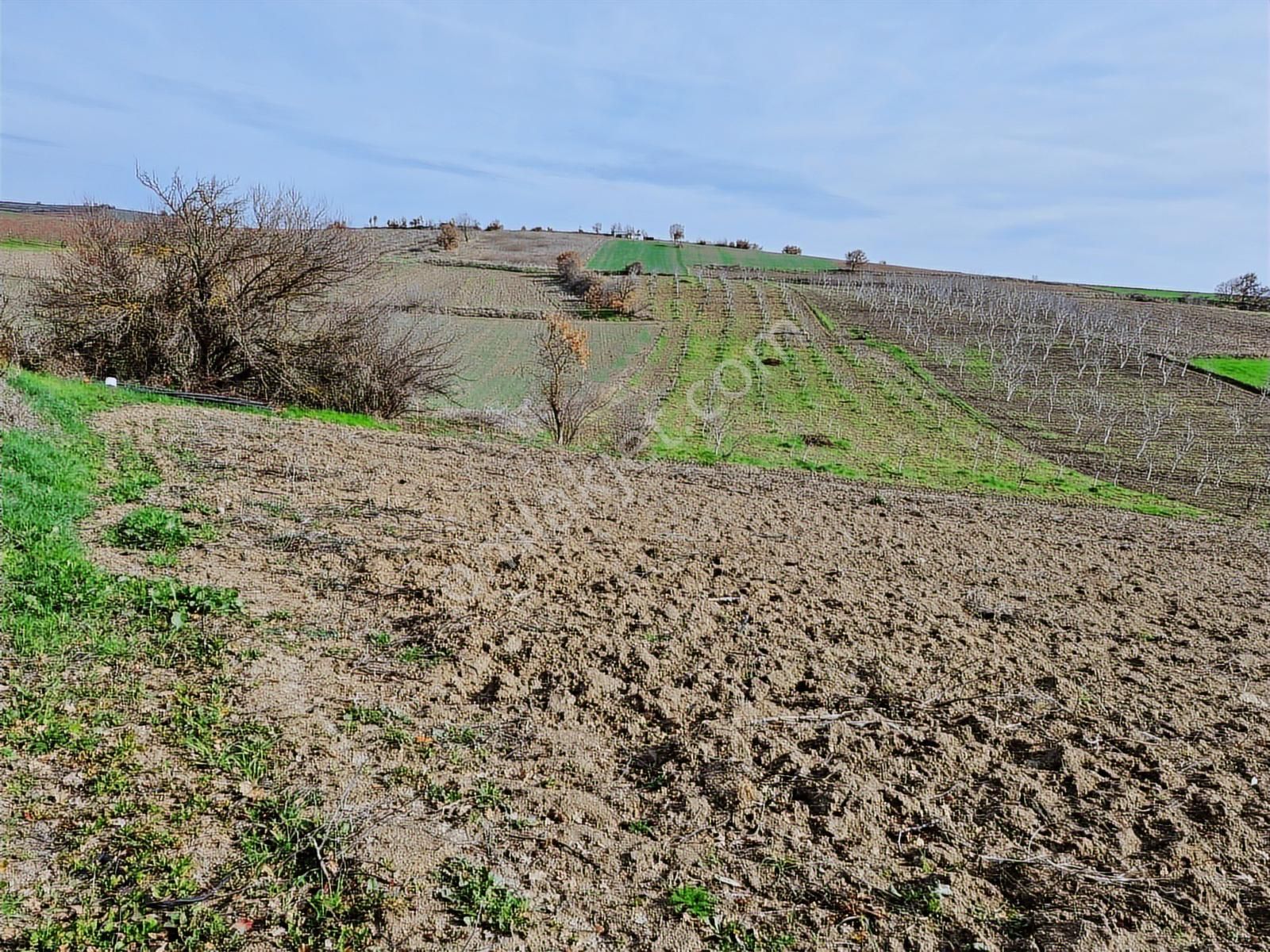 Yenişehir Kavaklı Kadastro Yoluna Cephe Sulama Tesisatlı Satılık - Görsel 27
