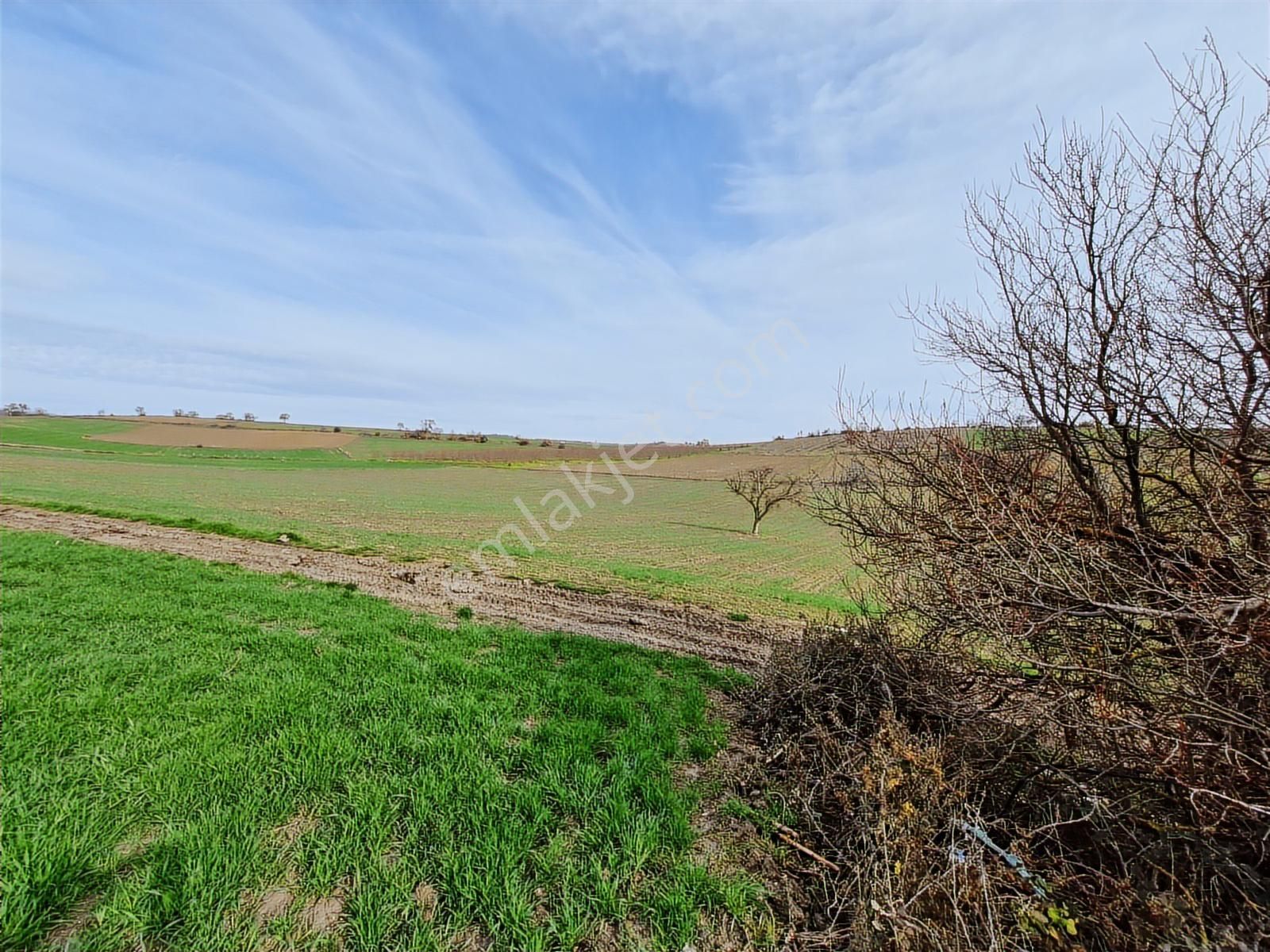 Yenişehir Kavaklı Kadastro Yoluna Cephe Sulama Tesisatlı Satılık - Görsel 23