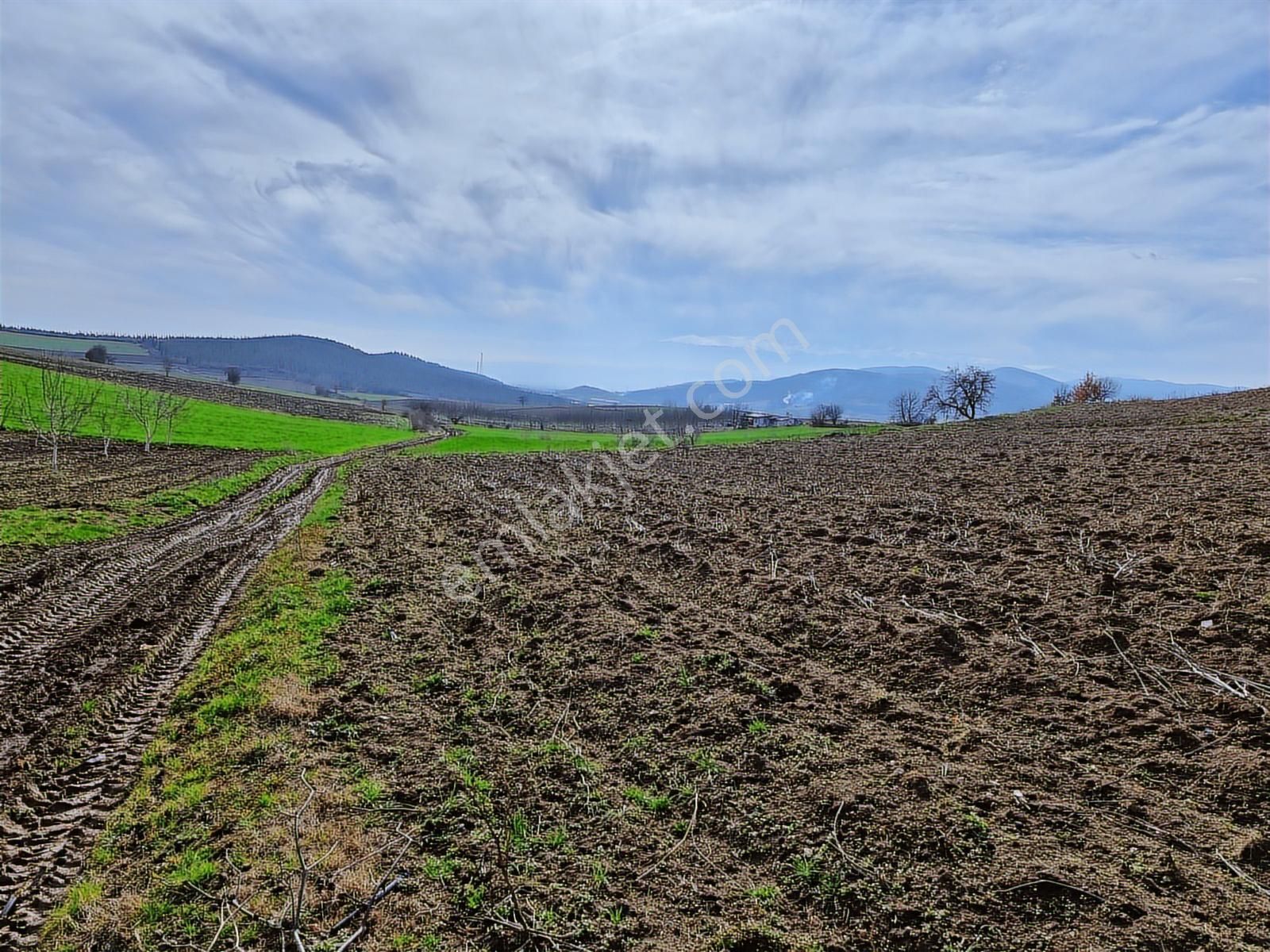 Yenişehir Kavaklı Kadastro Yoluna Cephe Sulama Tesisatlı Satılık - Görsel 11