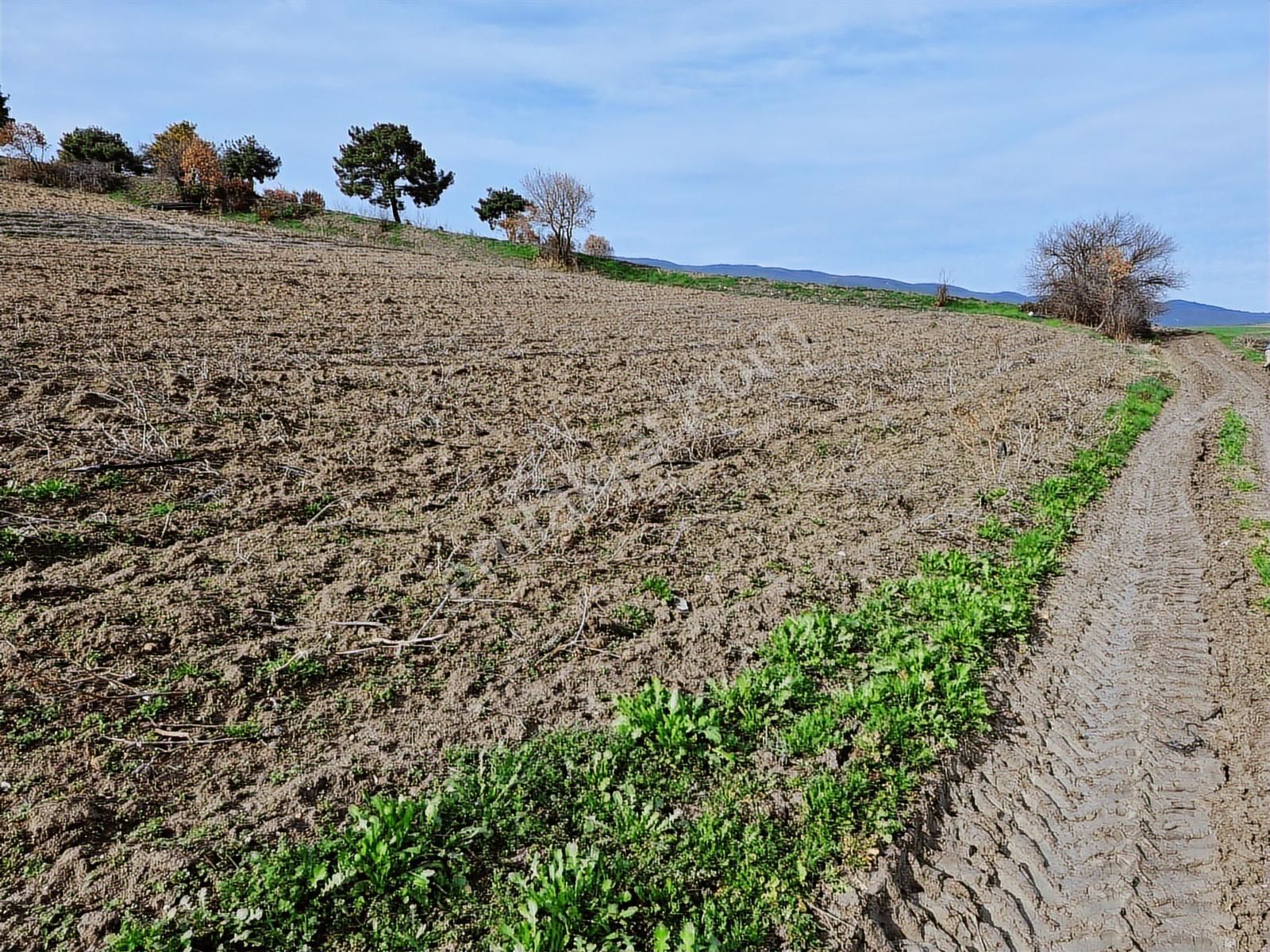 Yenişehir Kavaklı Kadastro Yoluna Cephe Sulama Tesisatlı Satılık - Görsel 20