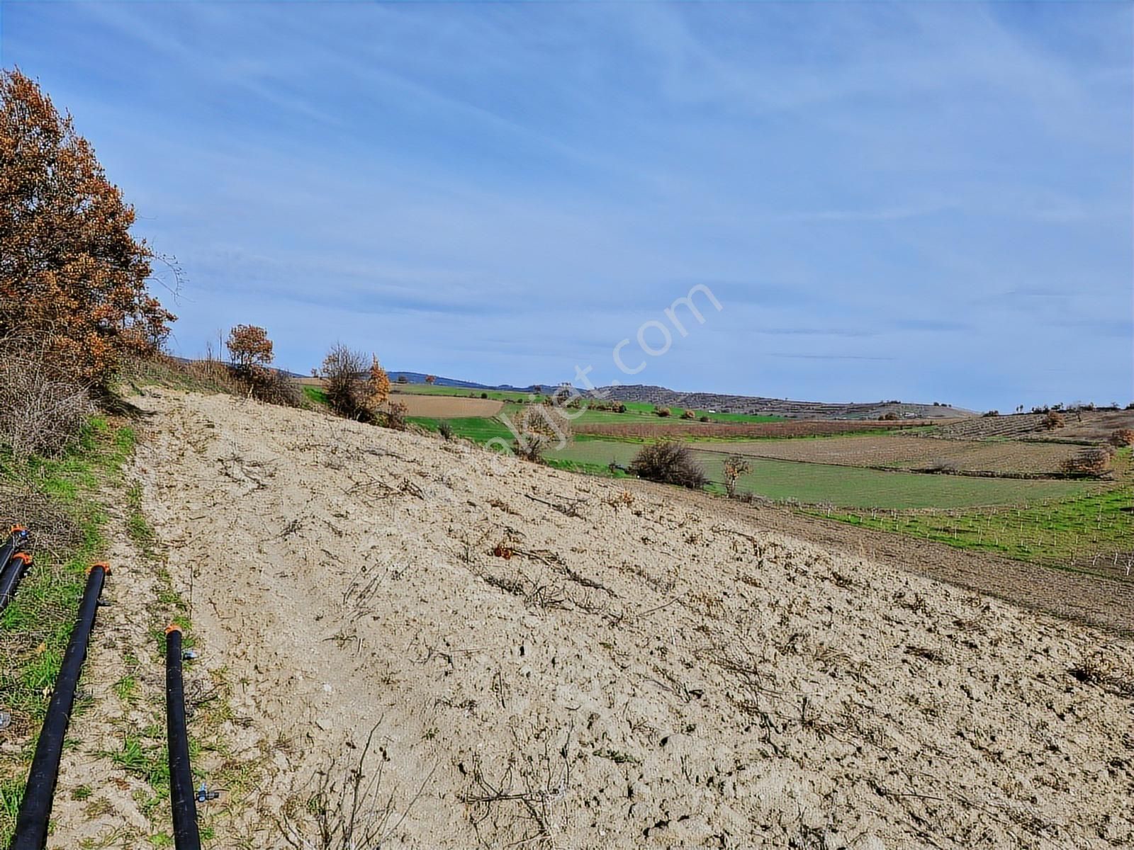 Yenişehir Kavaklı Kadastro Yoluna Cephe Sulama Tesisatlı Satılık - Görsel 4