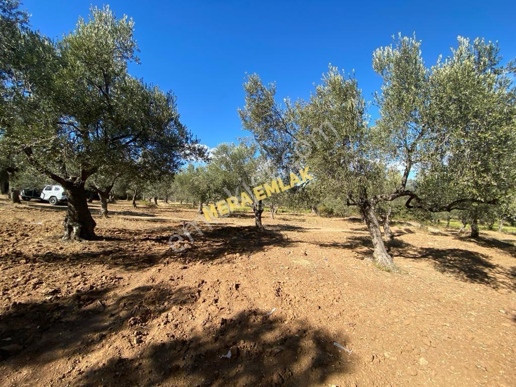 Mera Emlaktan Üniversite Yakını Köşe Parsel 1.015m2 İmarlı Arsa - Görsel 17