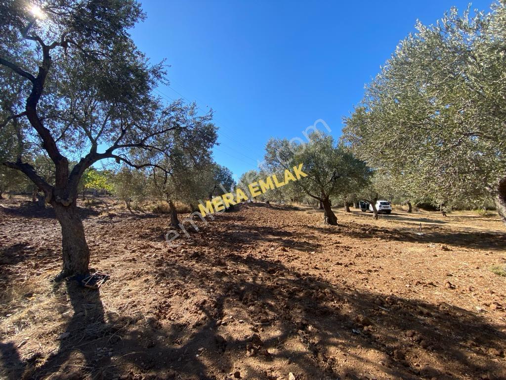 Mera Emlaktan Üniversite Yakını Köşe Parsel 1.015m2 İmarlı Arsa - Görsel 9