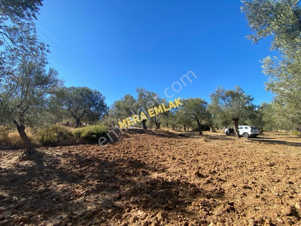 Mera Emlaktan Üniversite Yakını Köşe Parsel 1.015m2 İmarlı Arsa - Görsel 26