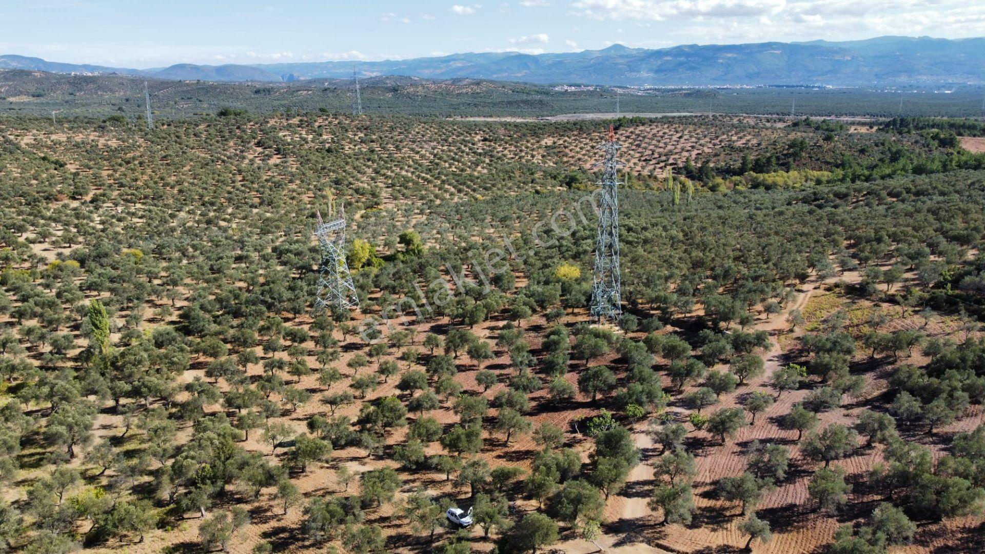 Mera Emlaktan Üniversite Yakını Köşe Parsel 1.015m2 İmarlı Arsa - Görsel 8