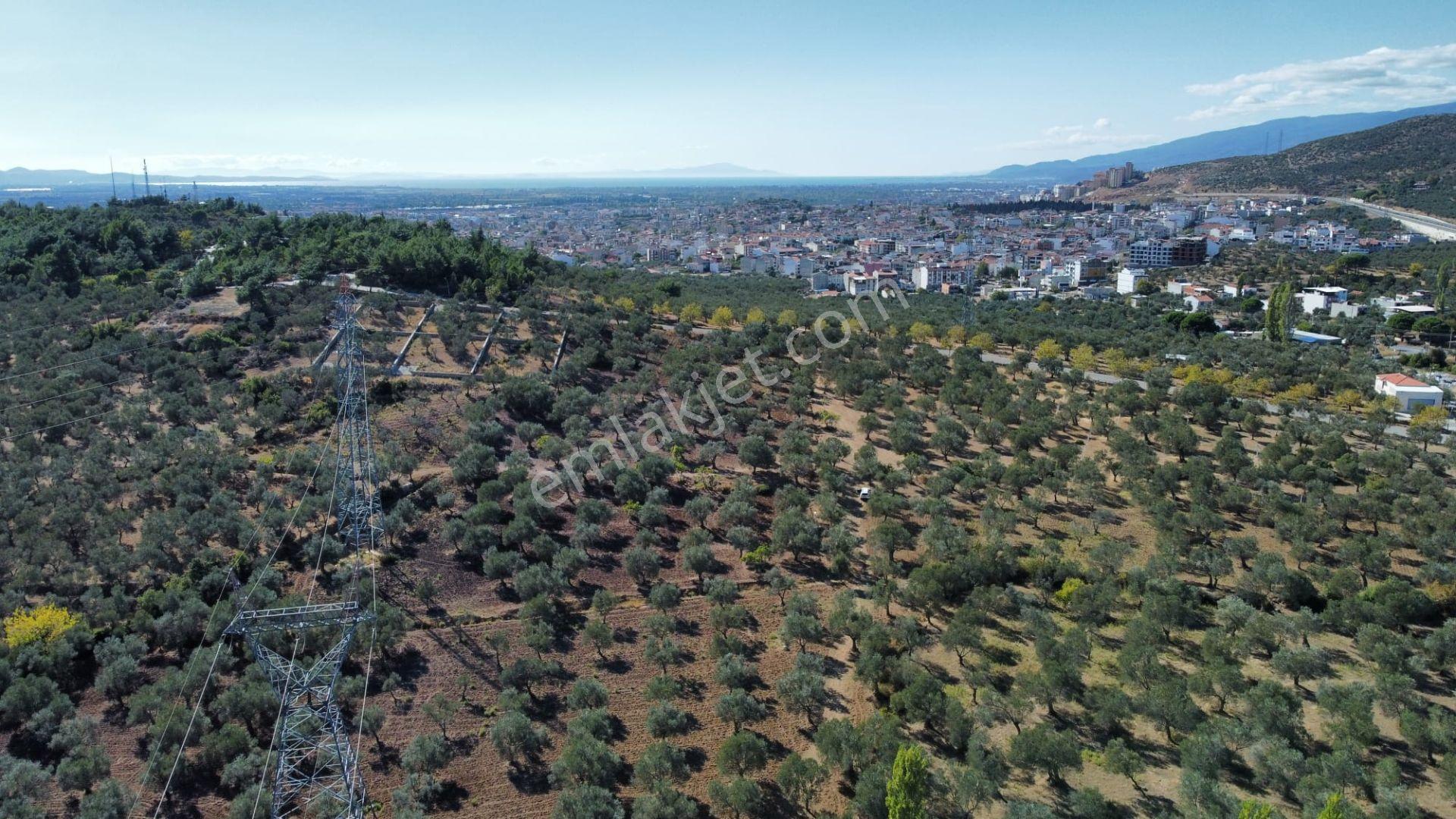 Mera Emlaktan Üniversite Yakını Köşe Parsel 1.015m2 İmarlı Arsa - Görsel 7