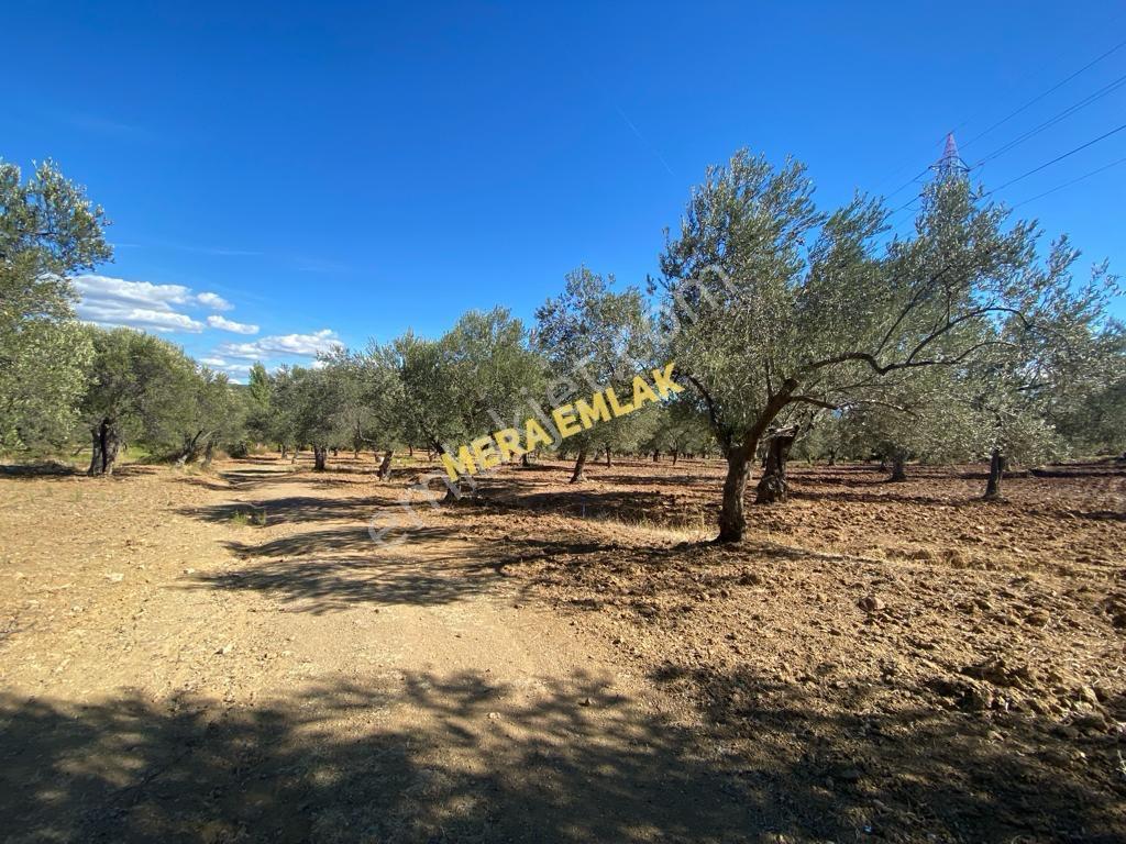 Mera Emlaktan Üniversite Yakını Köşe Parsel 1.015m2 İmarlı Arsa - Görsel 24