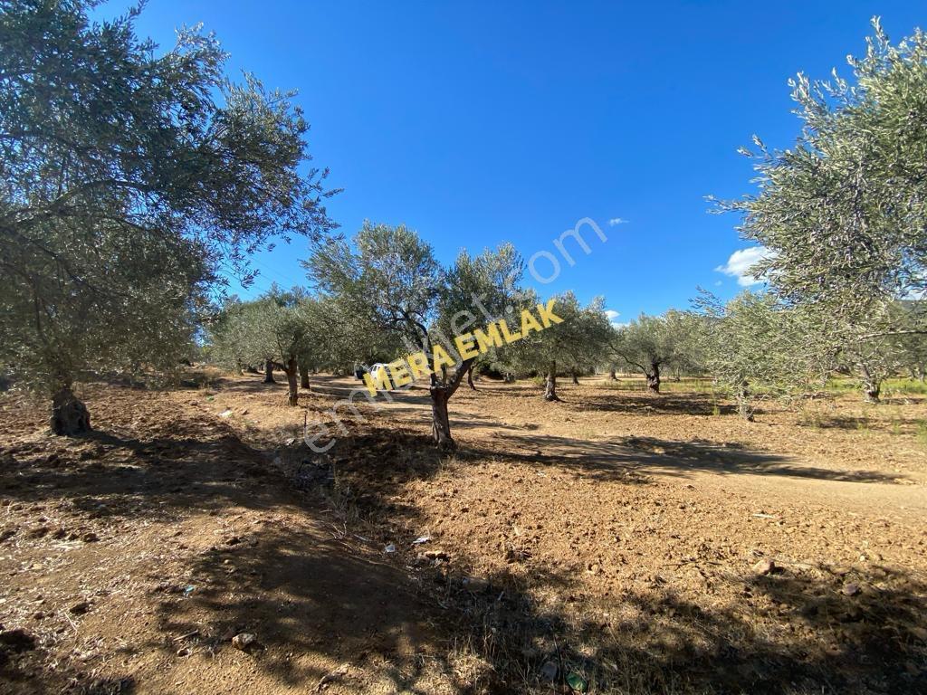 Mera Emlaktan Üniversite Yakını Köşe Parsel 1.015m2 İmarlı Arsa - Görsel 10