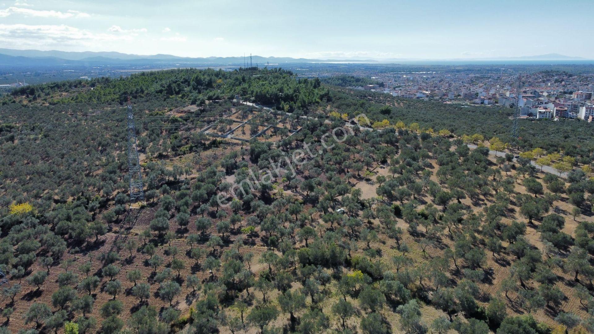 Mera Emlaktan Üniversite Yakını Köşe Parsel 1.015m2 İmarlı Arsa - Görsel 4