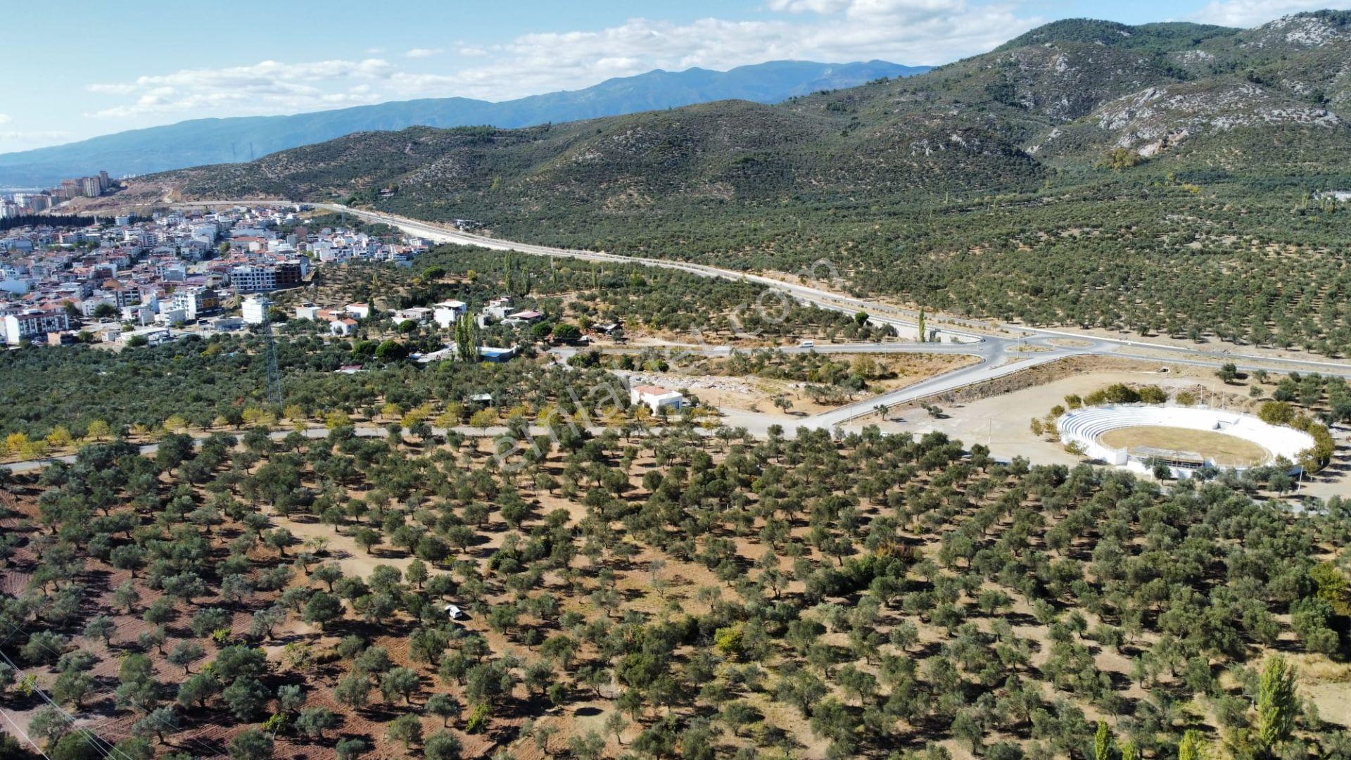 Mera Emlaktan Üniversite Yakını Köşe Parsel 1.015m2 İmarlı Arsa - Görsel 15
