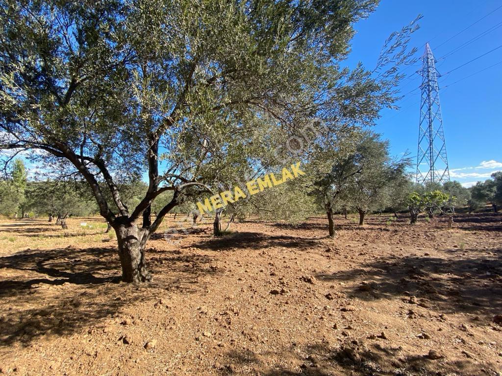 Mera Emlaktan Üniversite Yakını Köşe Parsel 1.015m2 İmarlı Arsa - Görsel 12