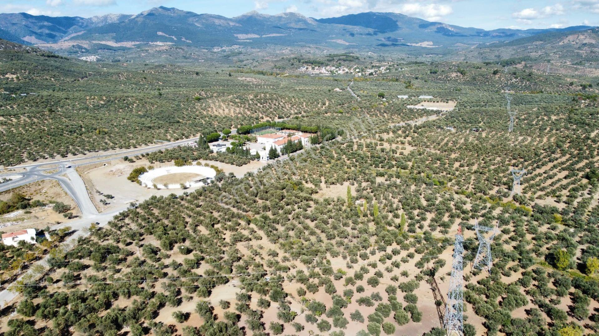 Mera Emlaktan Üniversite Yakını Köşe Parsel 1.015m2 İmarlı Arsa - Görsel 16