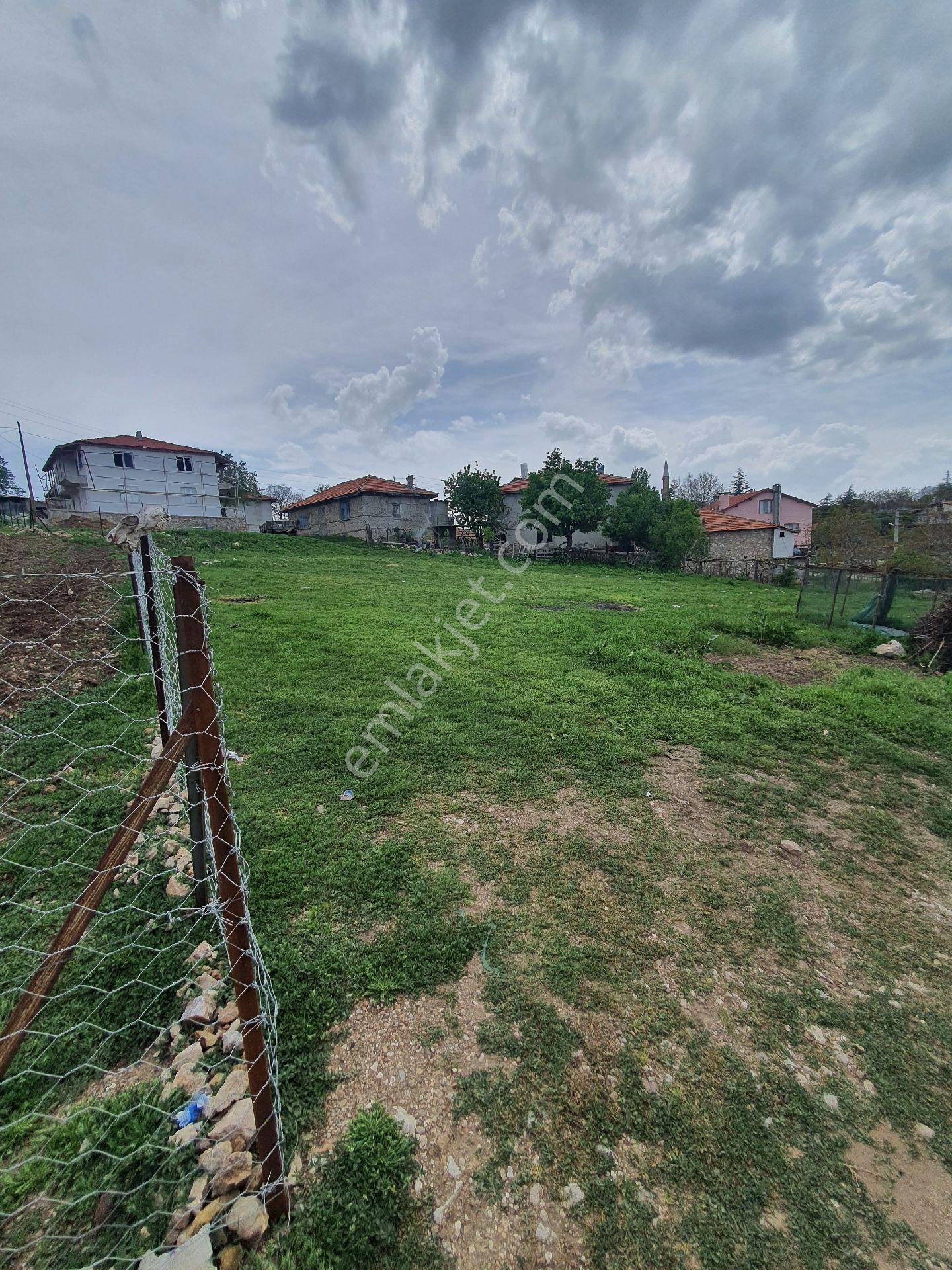 Eğirdir Sorkuncak - Görsel 6