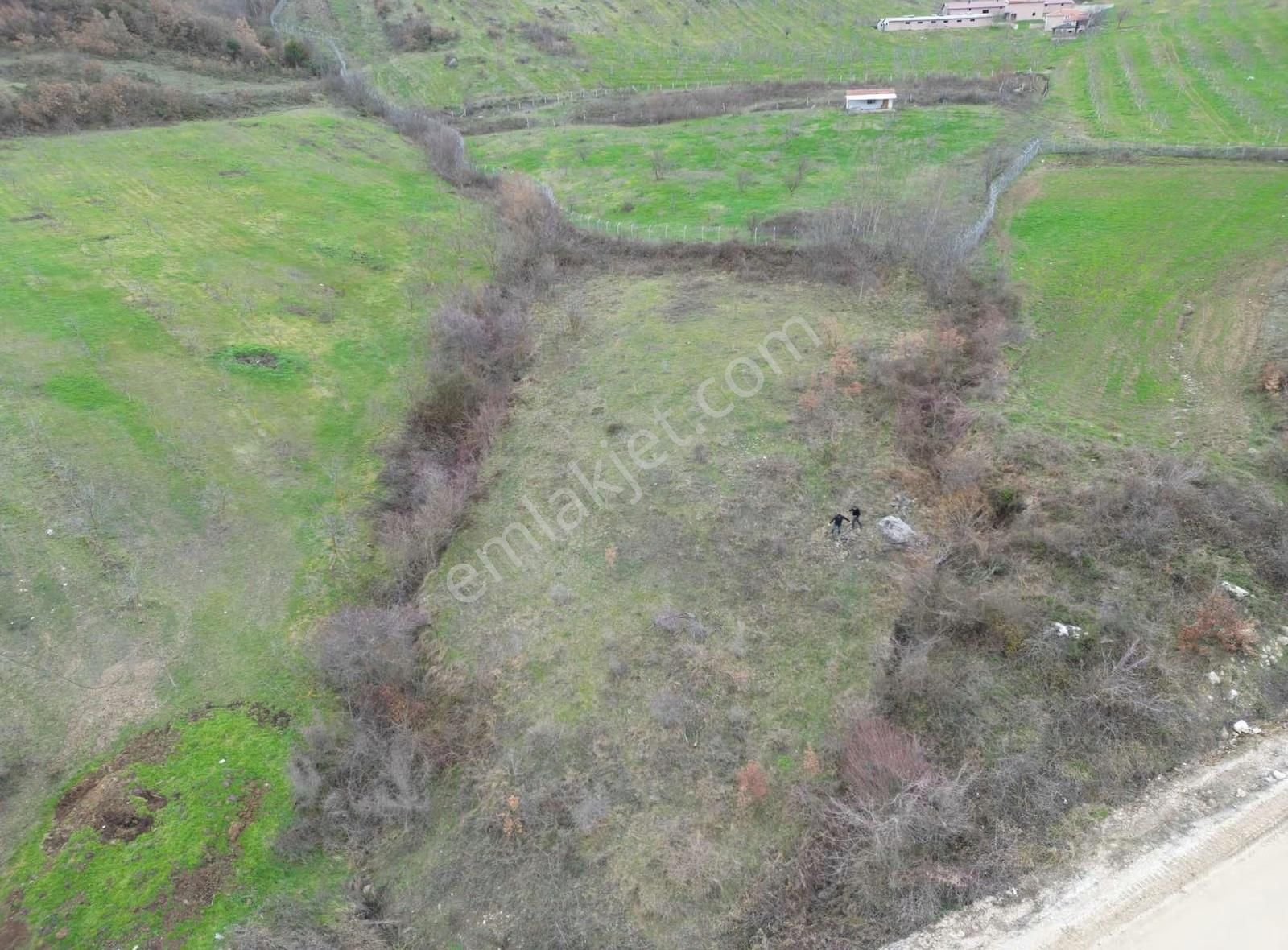 Doğayla İç İçe, Geyveye Çok Yakın Ceviz Bahçesi - Görsel 10