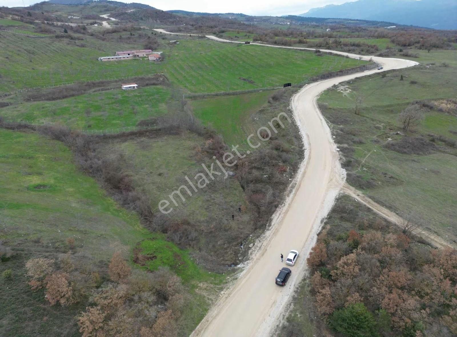 Doğayla İç İçe, Geyveye Çok Yakın Ceviz Bahçesi - Görsel 2