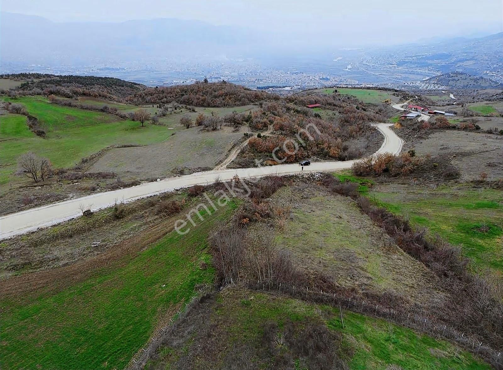 Doğayla İç İçe, Geyveye Çok Yakın Ceviz Bahçesi