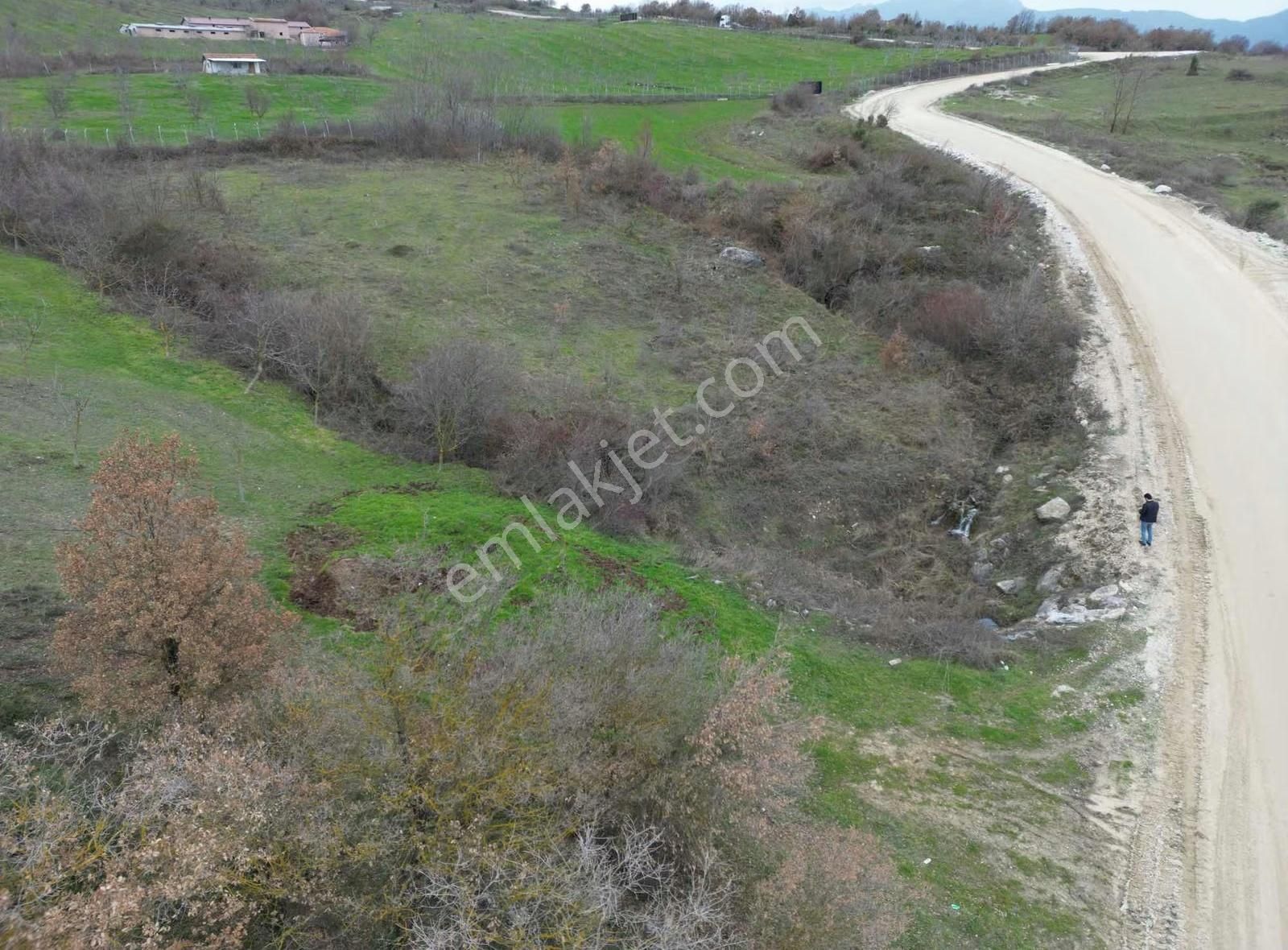 Doğayla İç İçe, Geyveye Çok Yakın Ceviz Bahçesi - Görsel 5