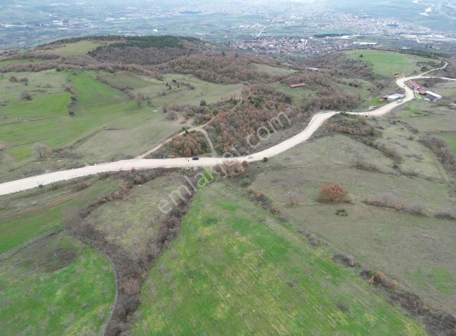 Doğayla İç İçe, Geyveye Çok Yakın Ceviz Bahçesi - Görsel 6