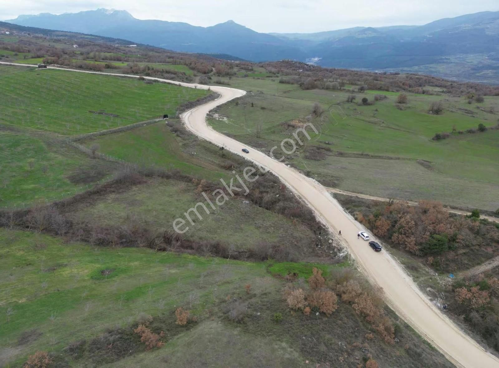 Doğayla İç İçe, Geyveye Çok Yakın Ceviz Bahçesi - Görsel 7